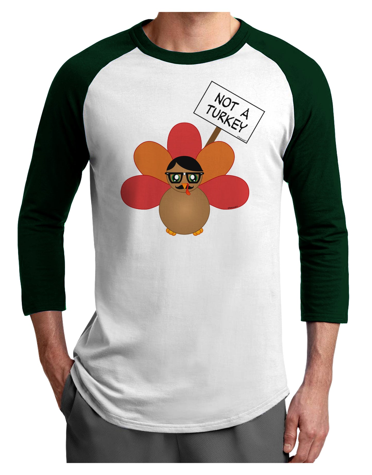 Thanksgiving Turkey in Disguise Adult Raglan Shirt by TooLoud-TooLoud-White-Forest-X-Small-Davson Sales