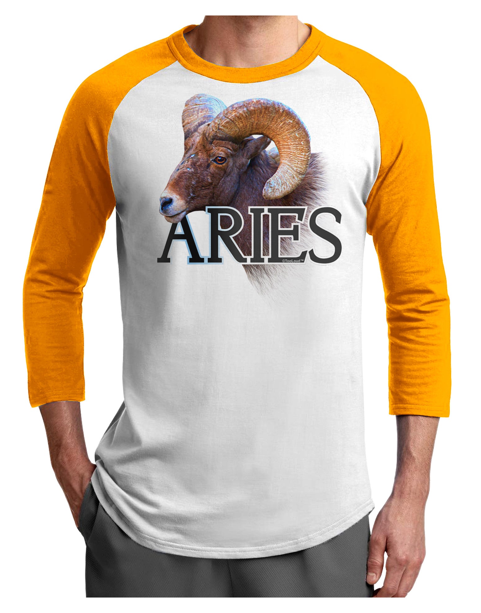 Majestic Aries Picture Adult Raglan Shirt-Raglan Shirt-TooLoud-White-Gold-X-Small-Davson Sales