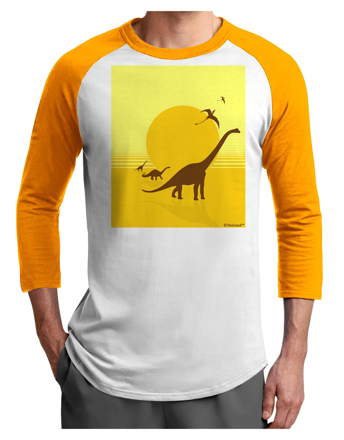 Brontosaurus and Pterodactyl Silhouettes with Sun Adult Raglan Shirt by TooLoud-TooLoud-White-Gold-X-Small-Davson Sales
