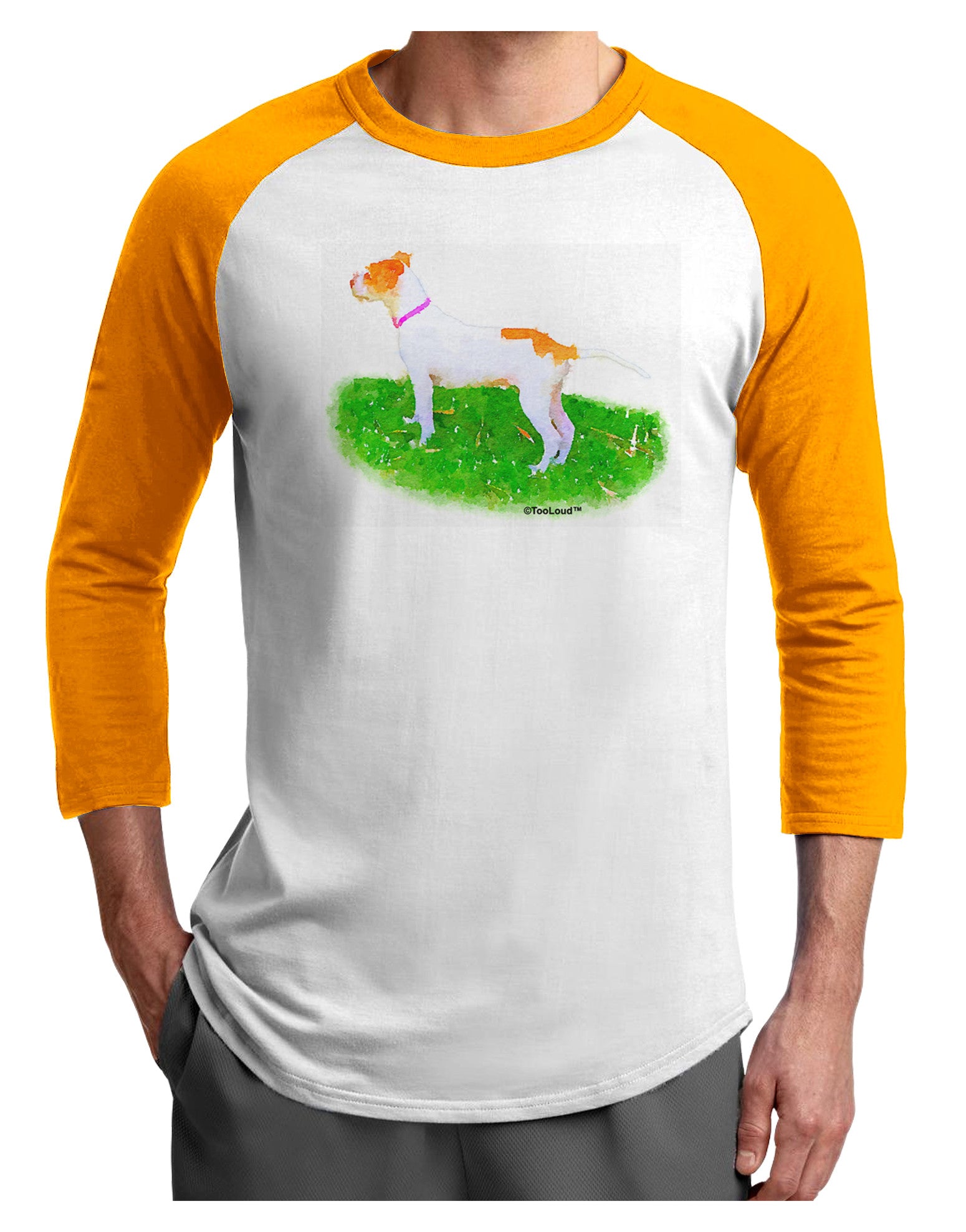 Vigilant Dog Watercolor Adult Raglan Shirt-TooLoud-White-Gold-X-Small-Davson Sales