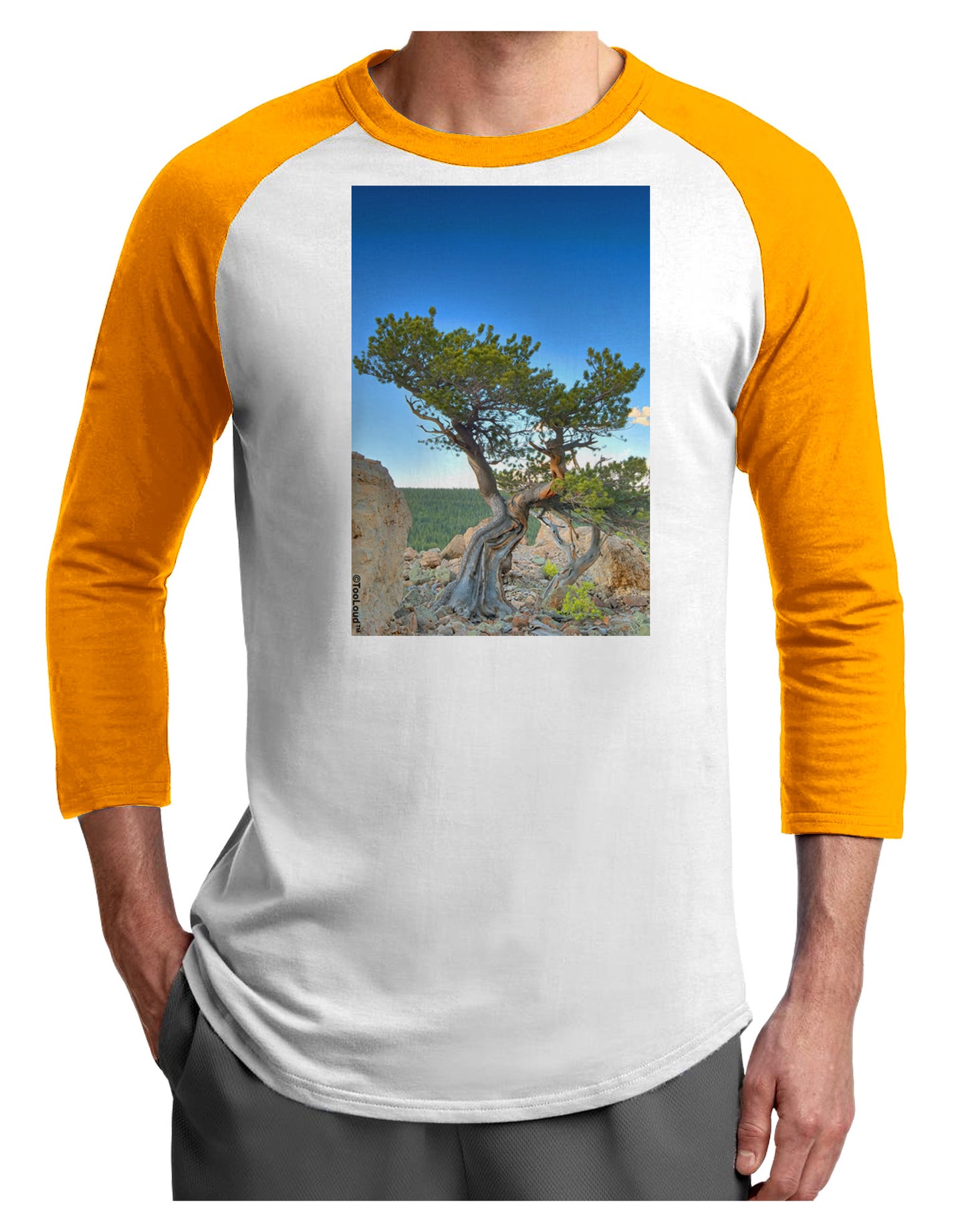 Colorado Landscape Tree Adult Raglan Shirt-TooLoud-White-Gold-X-Small-Davson Sales