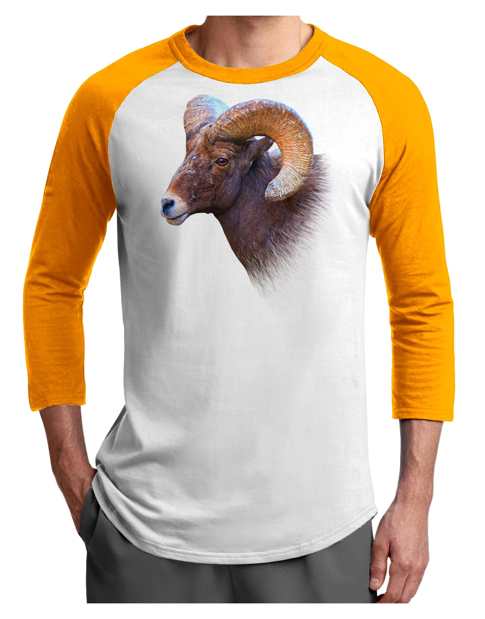 Majestic Bighorn Ram Adult Raglan Shirt-Raglan Shirt-TooLoud-White-Gold-X-Small-Davson Sales