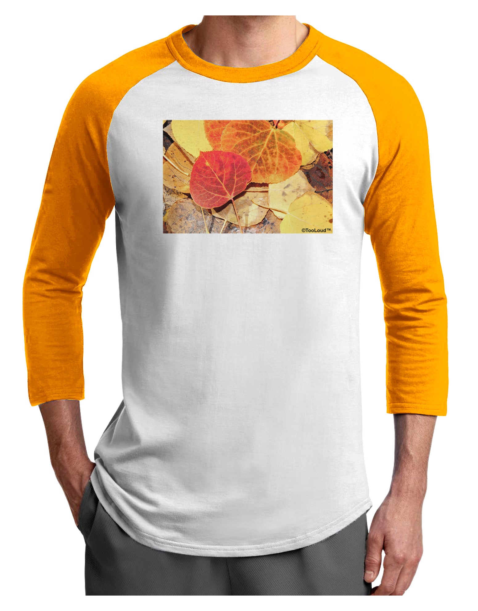 Colorado - Autumn Adult Raglan Shirt-Raglan Shirt-TooLoud-White-Gold-X-Small-Davson Sales