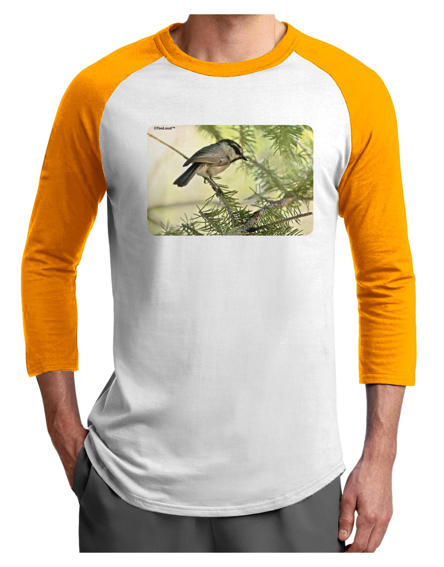 CO Chickadee Adult Raglan Shirt-Raglan Shirt-TooLoud-White-Gold-X-Small-Davson Sales