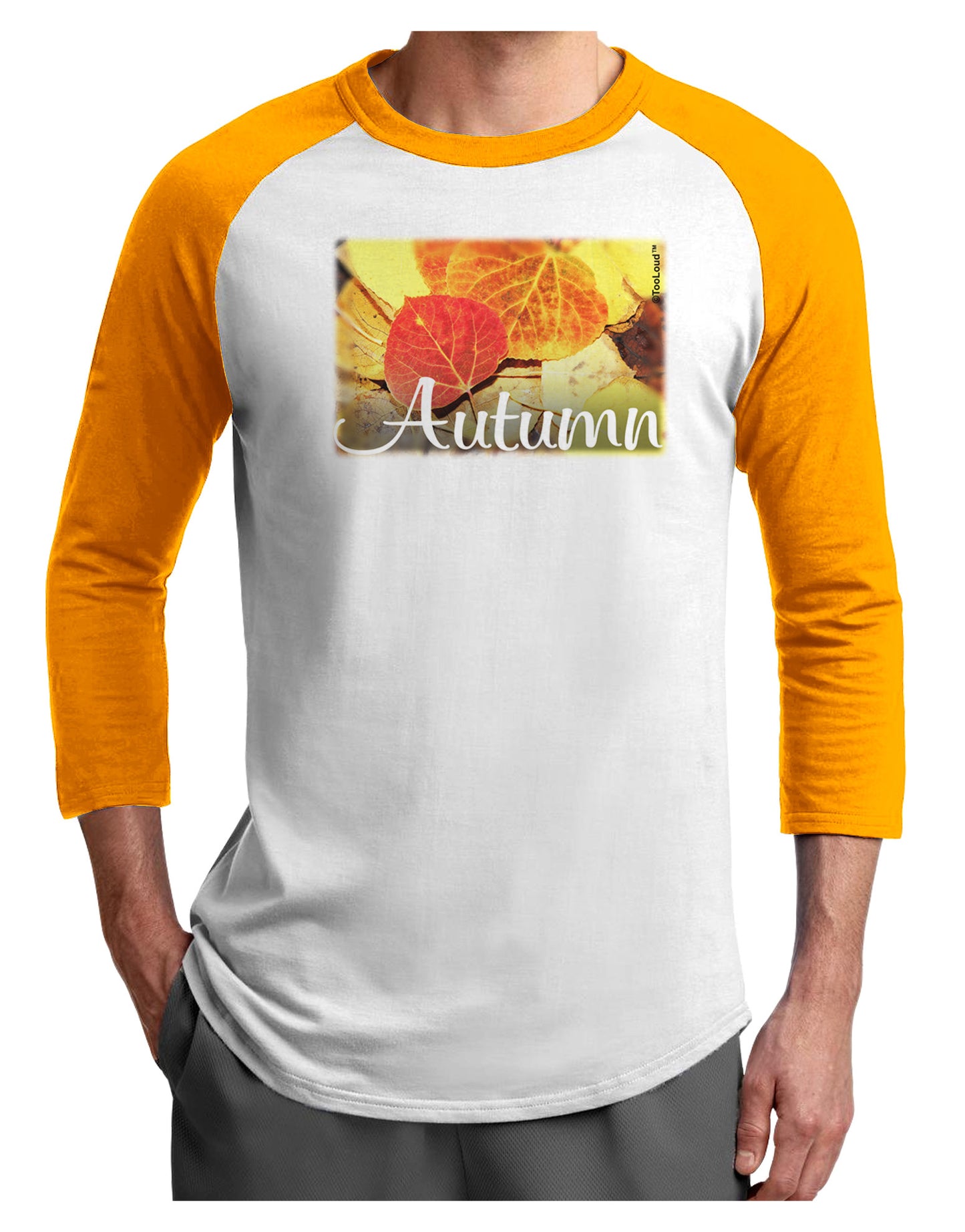 Colorado - Autumn Text Adult Raglan Shirt-Raglan Shirt-TooLoud-White-Gold-X-Small-Davson Sales