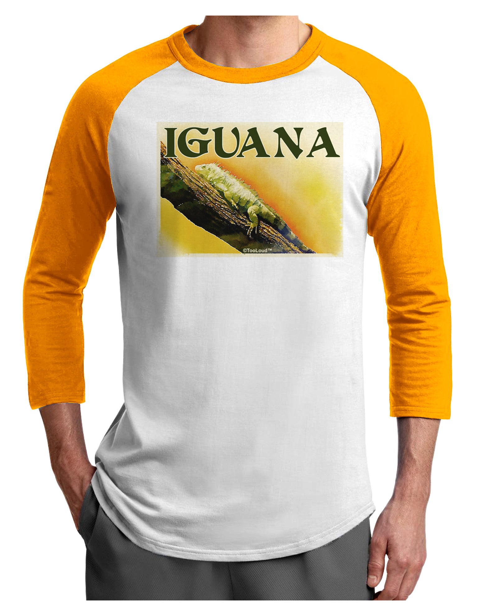 Iguana Watercolor Text Adult Raglan Shirt-TooLoud-White-Gold-X-Small-Davson Sales