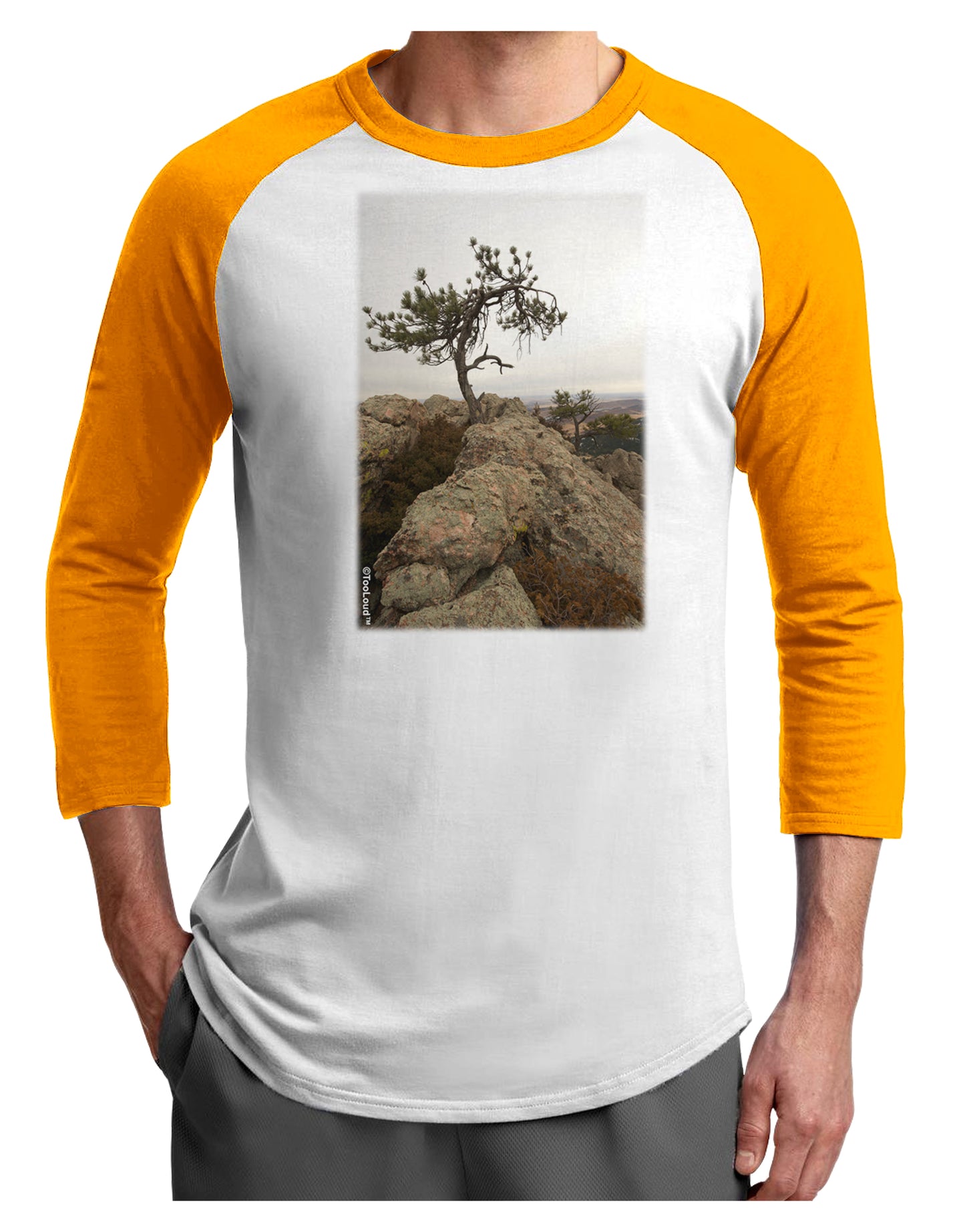 Stone Tree Colorado Adult Raglan Shirt by TooLoud-TooLoud-White-Gold-X-Small-Davson Sales
