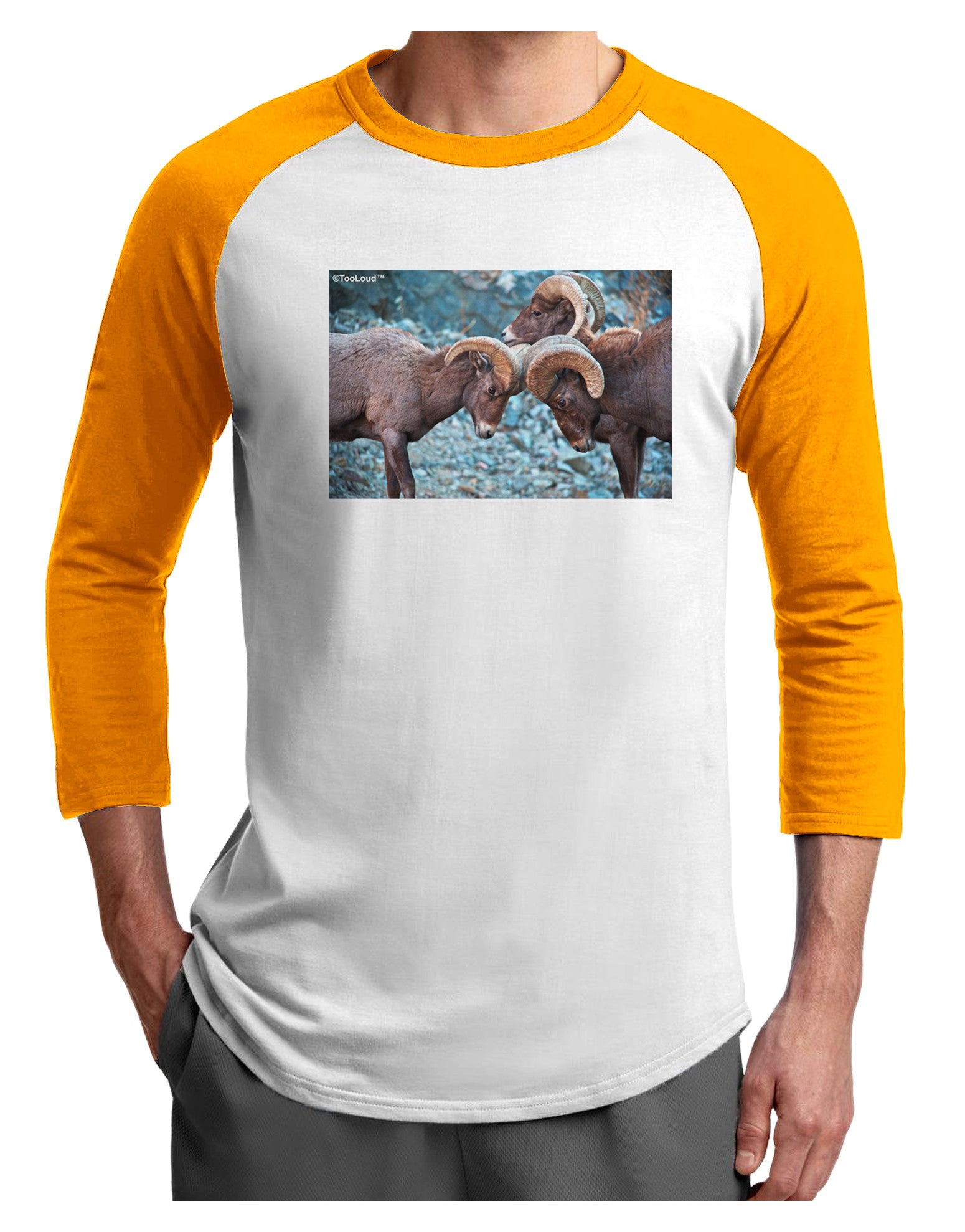 CO Bighorn Head Butt Adult Raglan Shirt-TooLoud-White-Gold-X-Small-Davson Sales