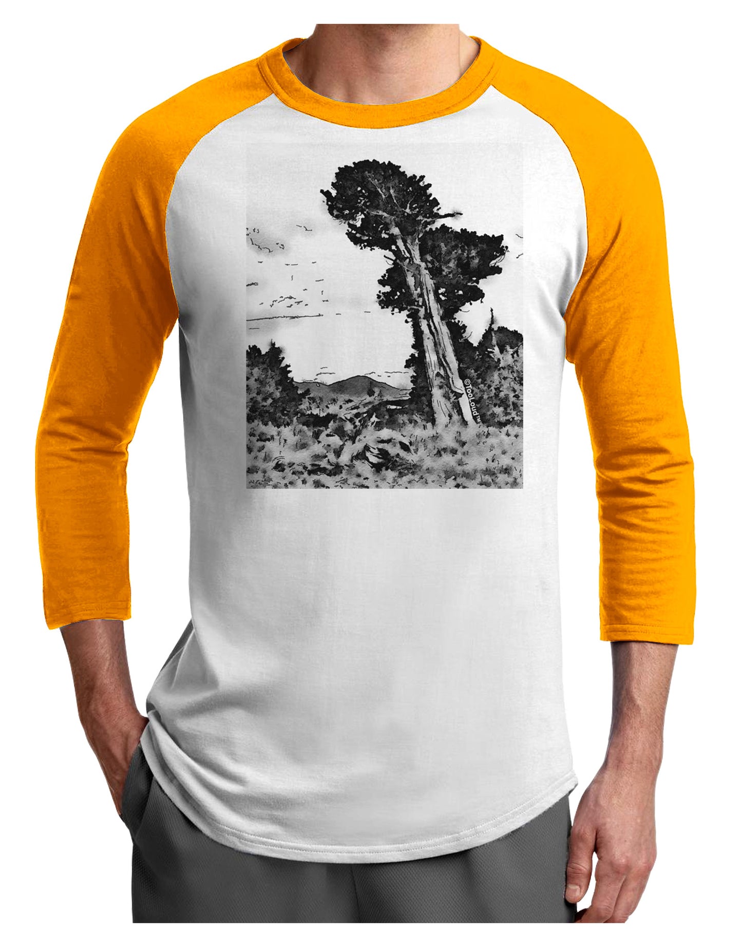 Colorado Landscape Watercolor BW Adult Raglan Shirt-TooLoud-White-Gold-X-Small-Davson Sales