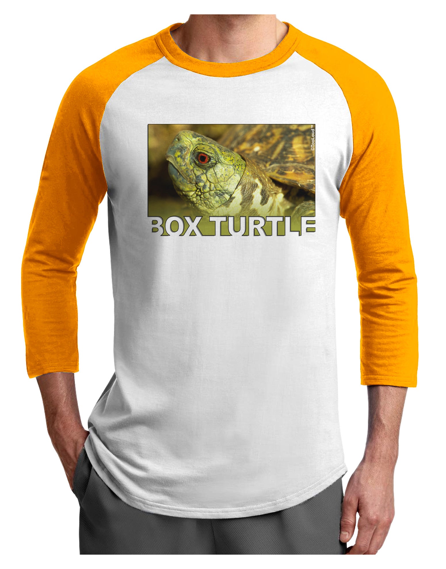 Menacing Turtle with Text Adult Raglan Shirt-Raglan Shirt-TooLoud-White-Gold-X-Small-Davson Sales