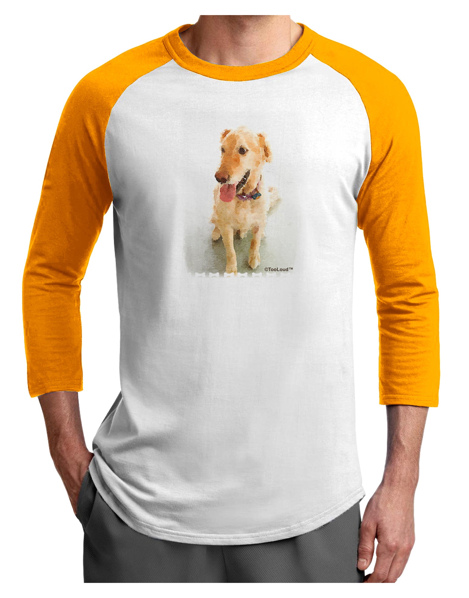 Golden Retriever Watercolor Adult Raglan Shirt-Raglan Shirt-TooLoud-White-Gold-X-Small-Davson Sales