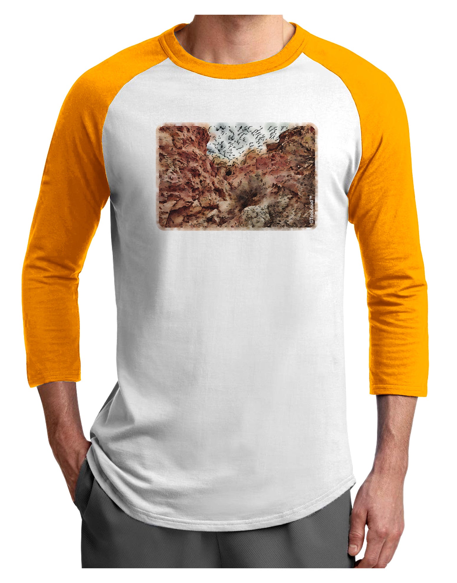 Colorado Painted Rocks Watercolor Adult Raglan Shirt-Raglan Shirt-TooLoud-White-Gold-X-Small-Davson Sales