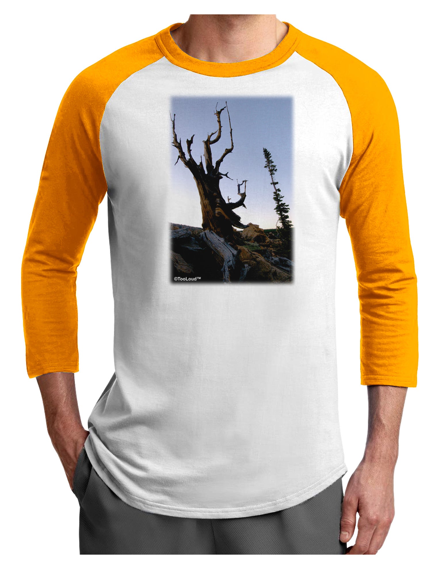 Colorado Mountain Scenery Adult Raglan Shirt-TooLoud-White-Gold-X-Small-Davson Sales