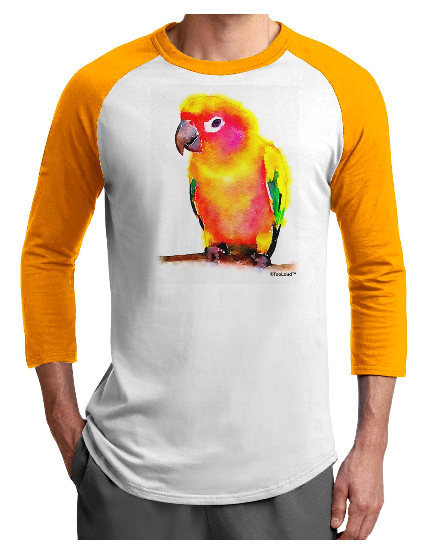 Sun Conure Parrot Watercolor Adult Raglan Shirt-TooLoud-White-Gold-X-Small-Davson Sales