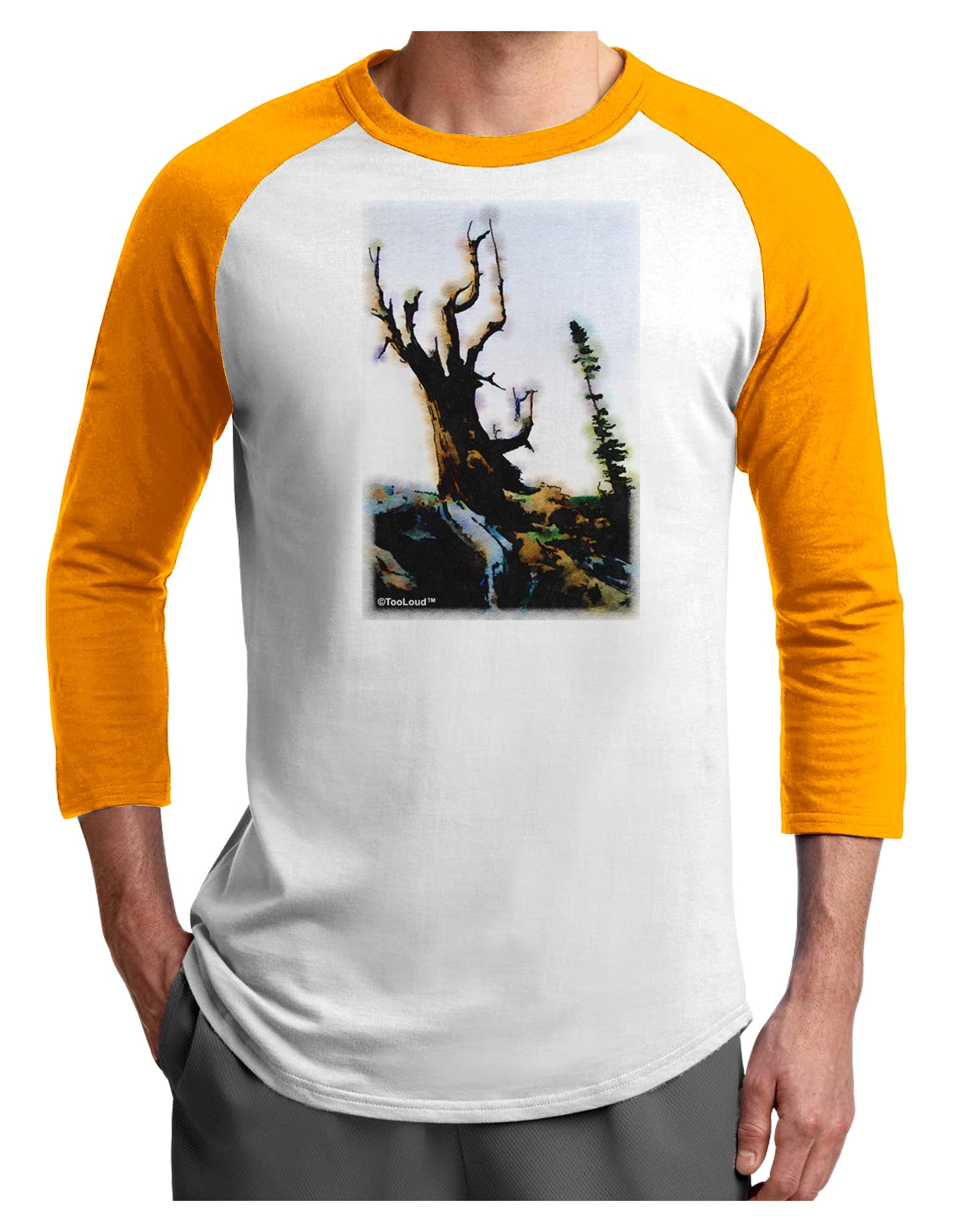 CO Mountain Scenery Watercolor Adult Raglan Shirt-TooLoud-White-Gold-X-Small-Davson Sales