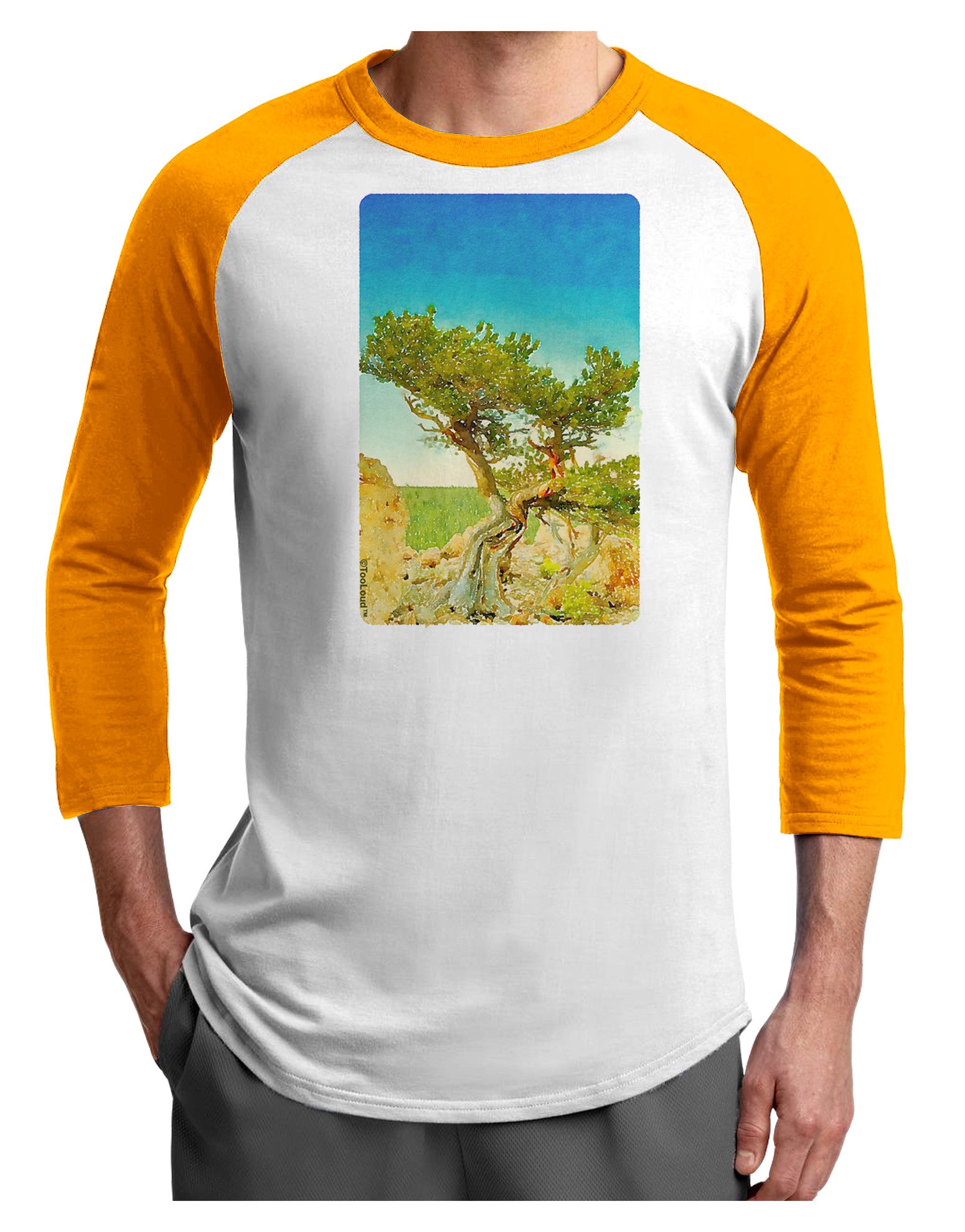Colorado Tree Watercolor Adult Raglan Shirt-TooLoud-White-Gold-X-Small-Davson Sales