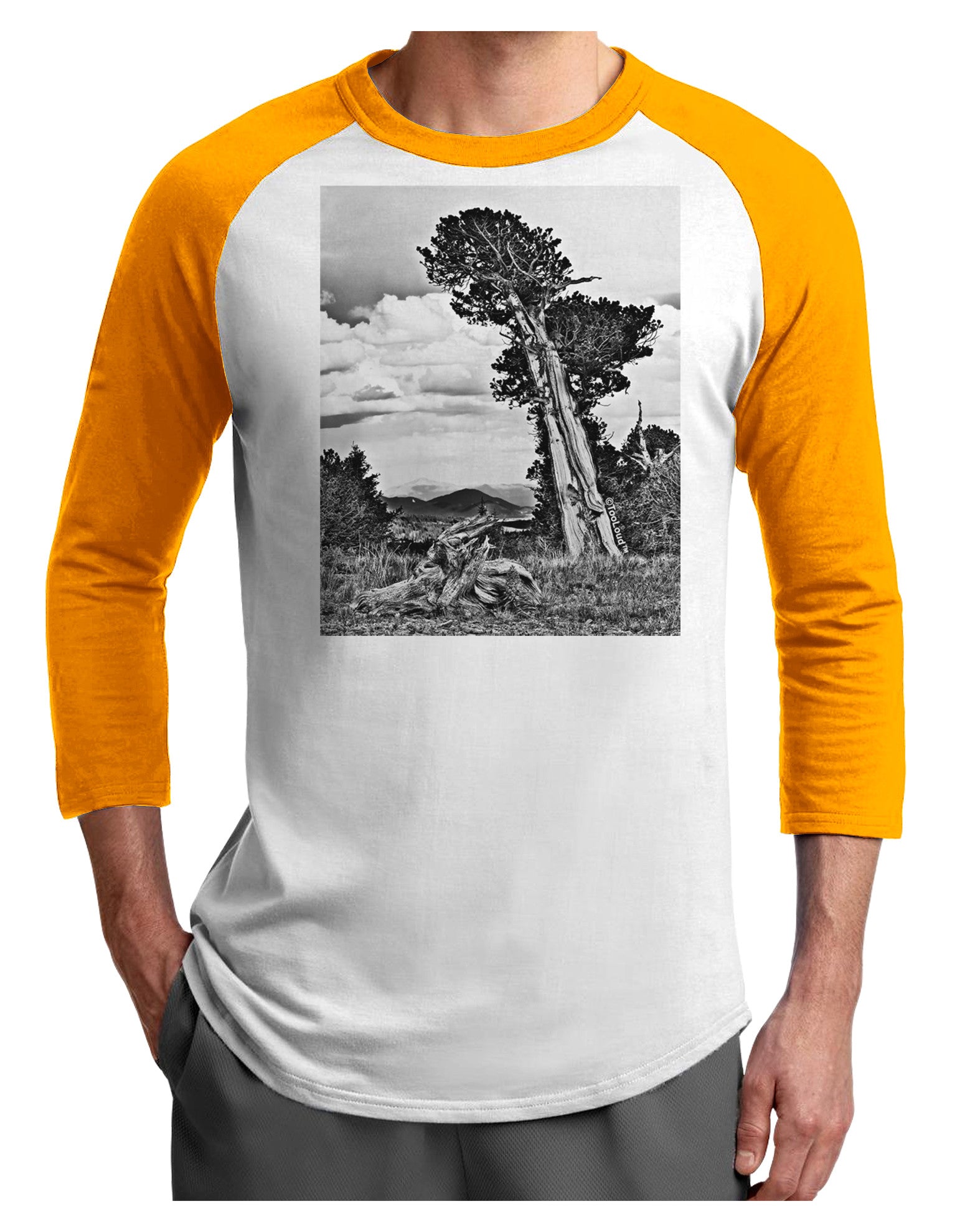 Colorado Landscape Monochrome Adult Raglan Shirt-TooLoud-White-Gold-X-Small-Davson Sales