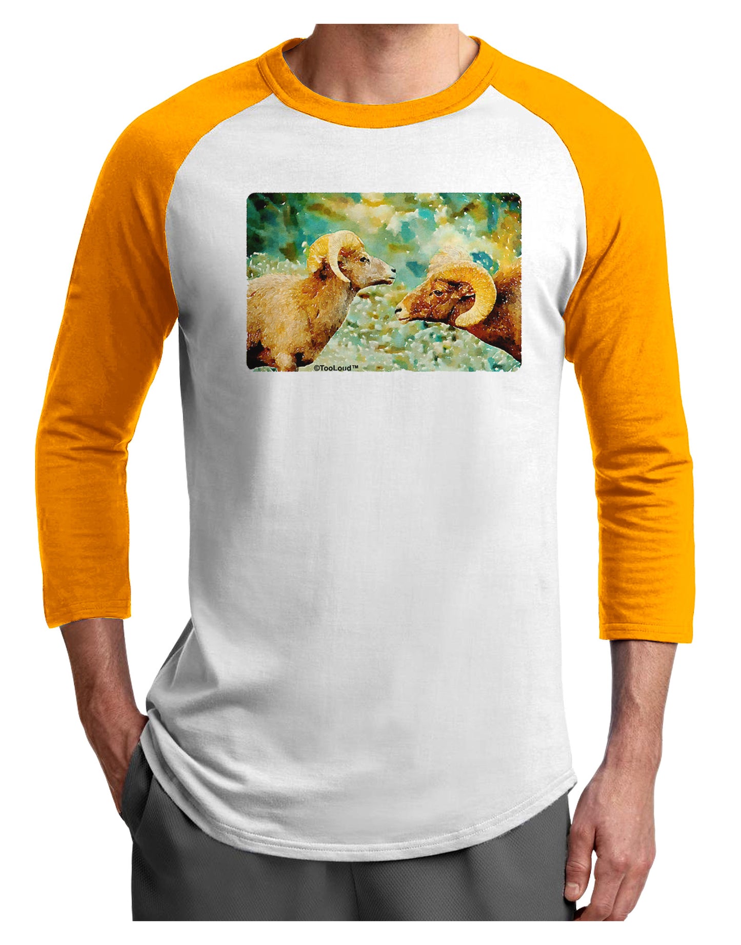 Two Bighorn Rams Watercolor Adult Raglan Shirt-TooLoud-White-Gold-X-Small-Davson Sales