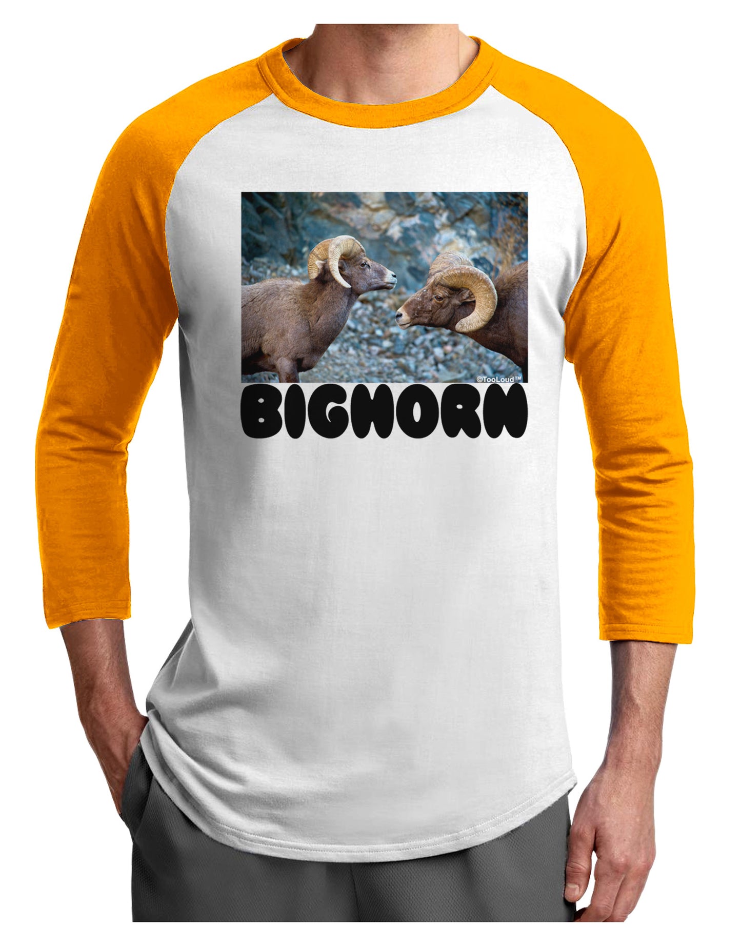Two Bighorn Rams Text Adult Raglan Shirt-TooLoud-White-Gold-X-Small-Davson Sales
