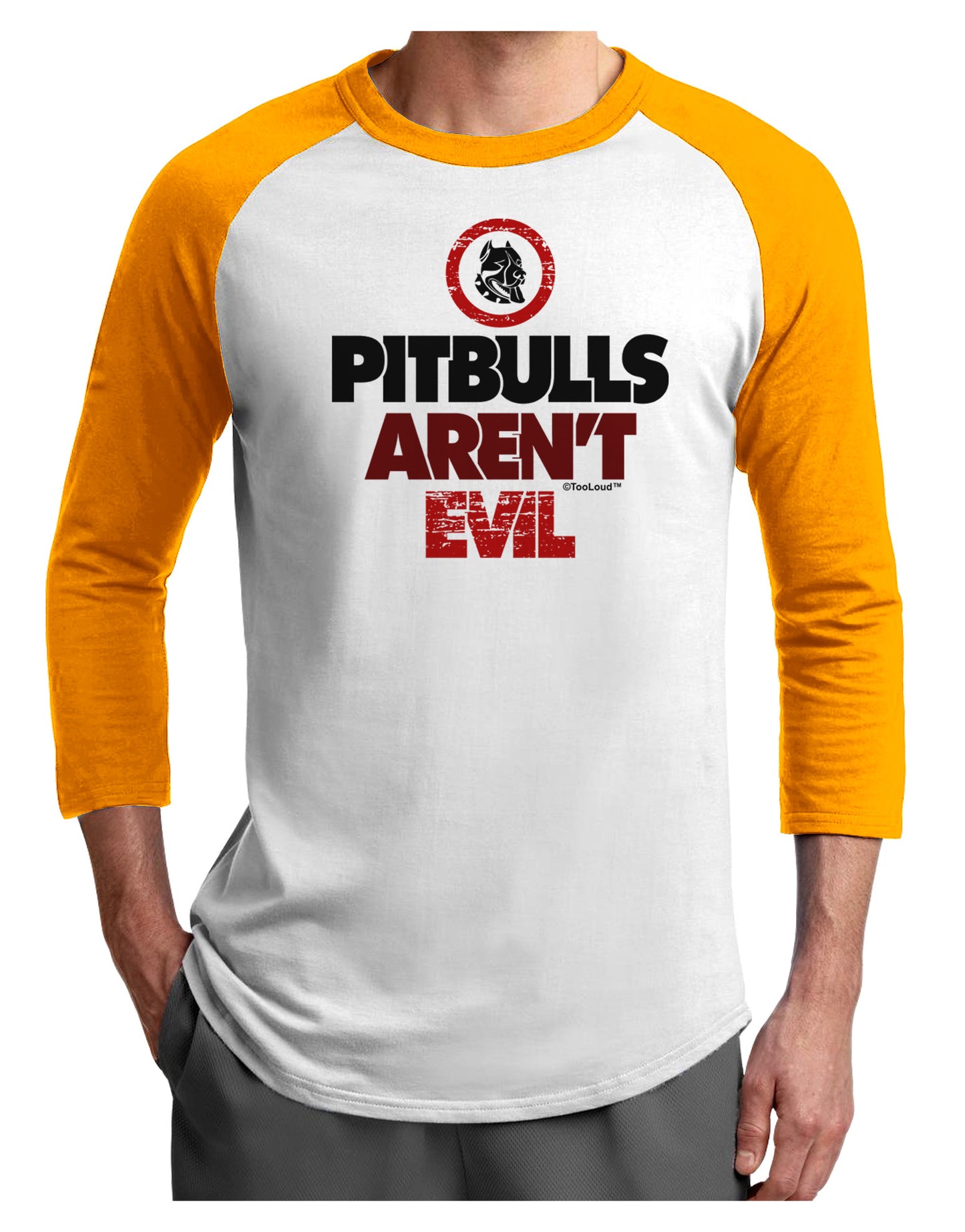 Distressed Pitbulls Aren't Evil Adult Raglan Shirt-TooLoud-White-Gold-X-Small-Davson Sales