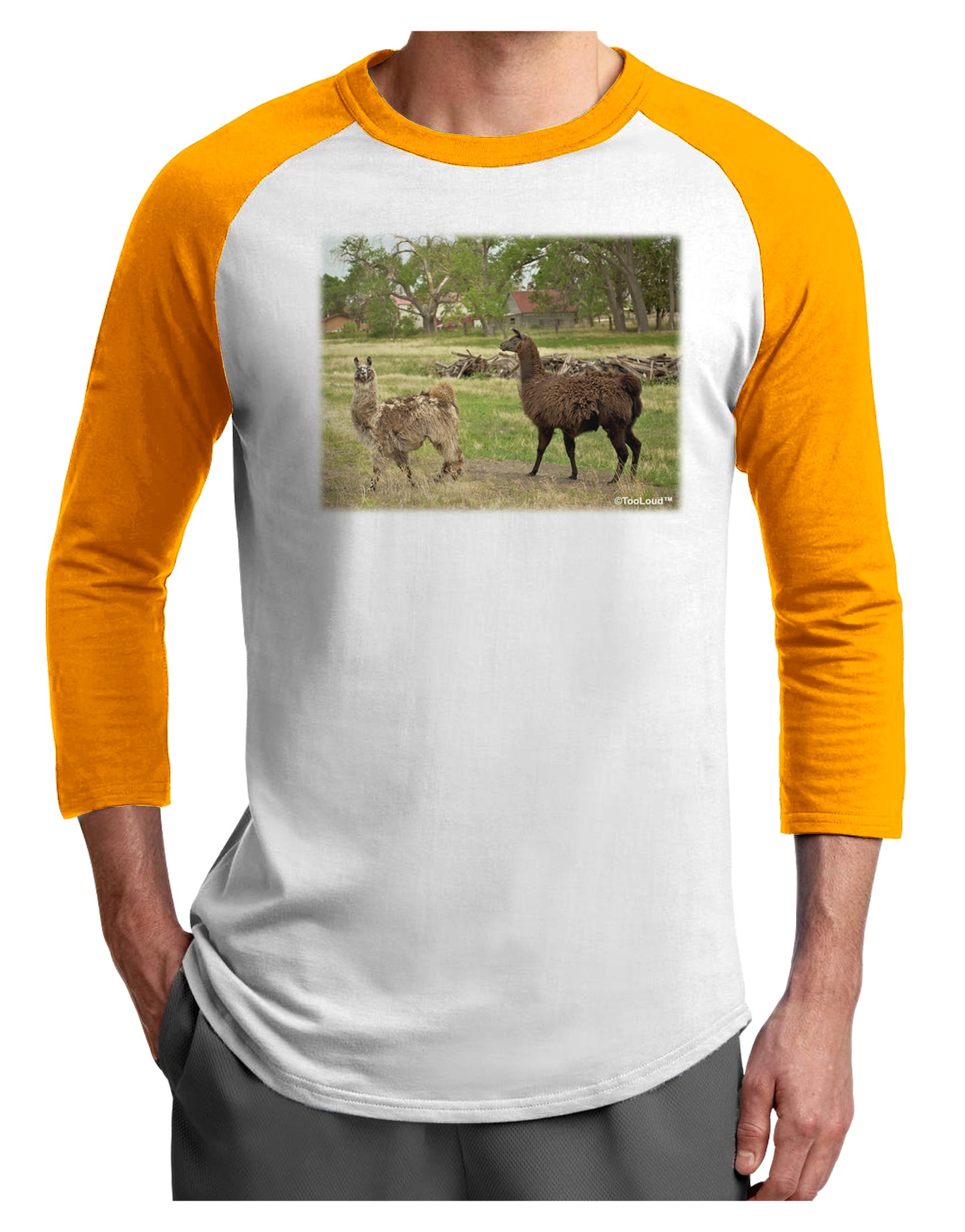 Standing Llamas Adult Raglan Shirt by TooLoud-TooLoud-White-Gold-X-Small-Davson Sales