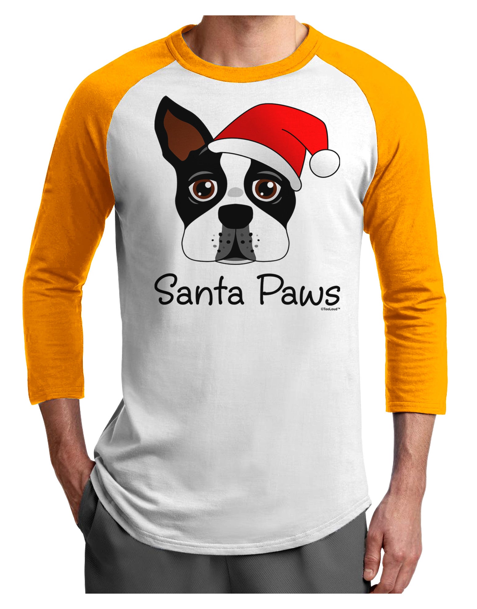 Santa Paws Christmas Dog Adult Raglan Shirt-TooLoud-White-Gold-X-Small-Davson Sales