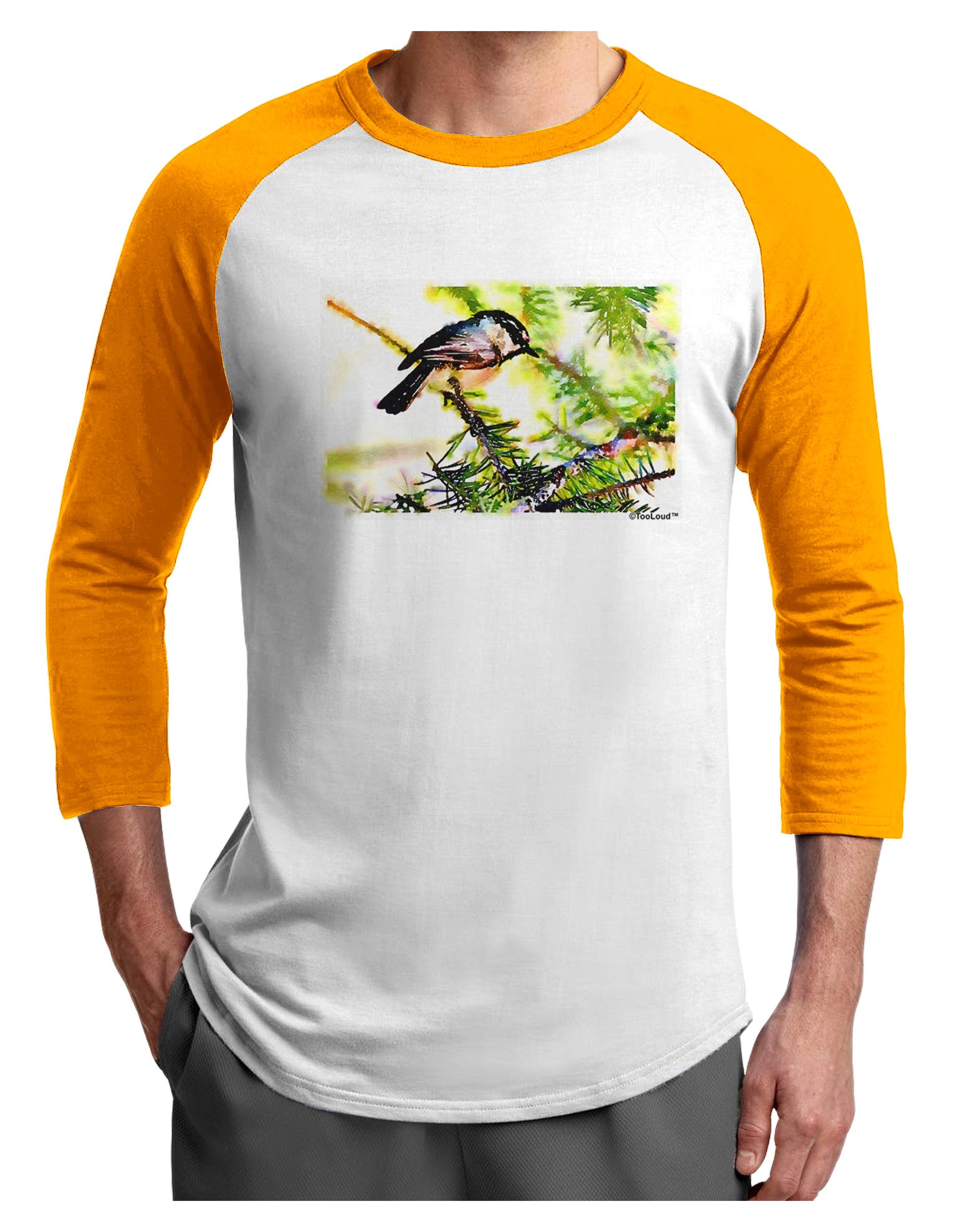 CO Chickadee Watercolor Adult Raglan Shirt-Raglan Shirt-TooLoud-White-Gold-X-Small-Davson Sales