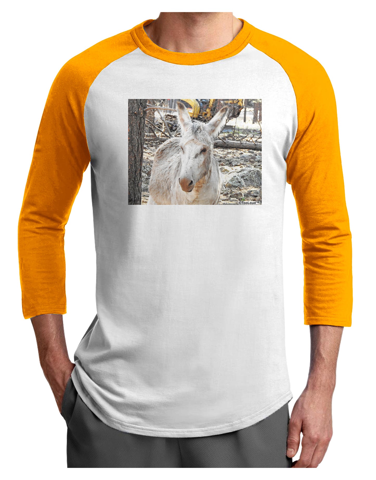 Troubled Burro Adult Raglan Shirt-Raglan Shirt-TooLoud-White-Gold-X-Small-Davson Sales