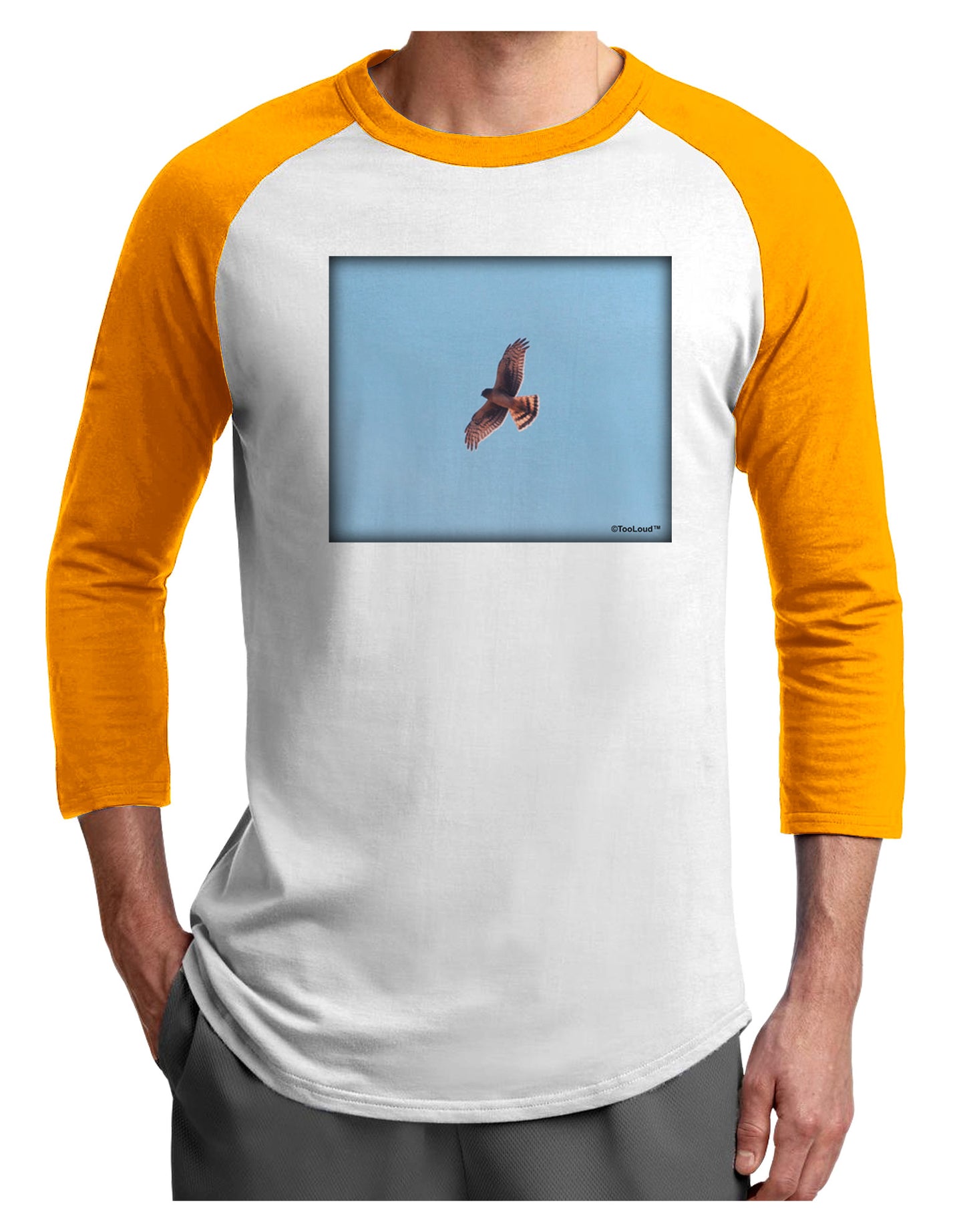 Soaring Peregrine Adult Raglan Shirt-Raglan Shirt-TooLoud-White-Gold-X-Small-Davson Sales