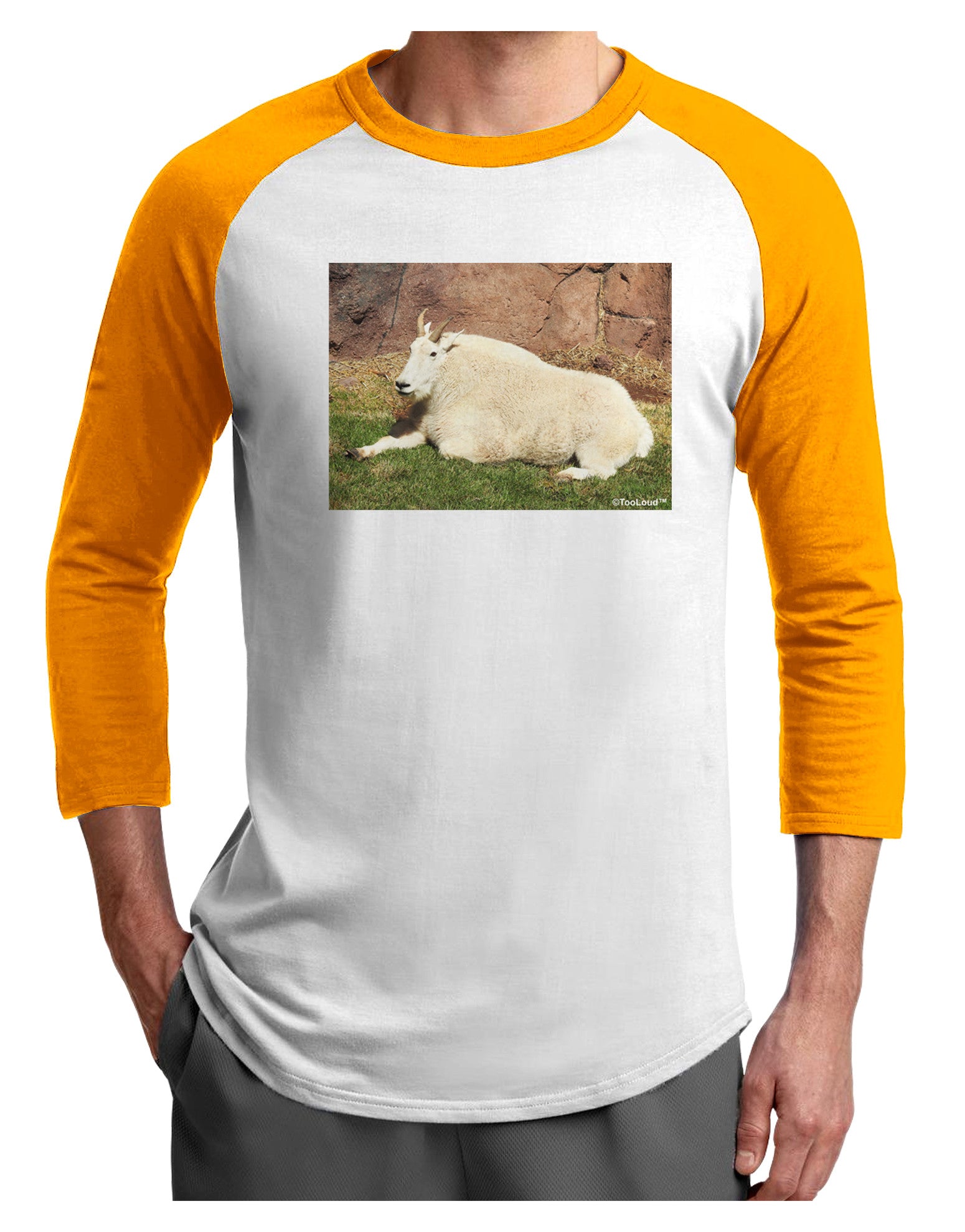 Relaxing Ram Adult Raglan Shirt-Raglan Shirt-TooLoud-White-Gold-X-Small-Davson Sales