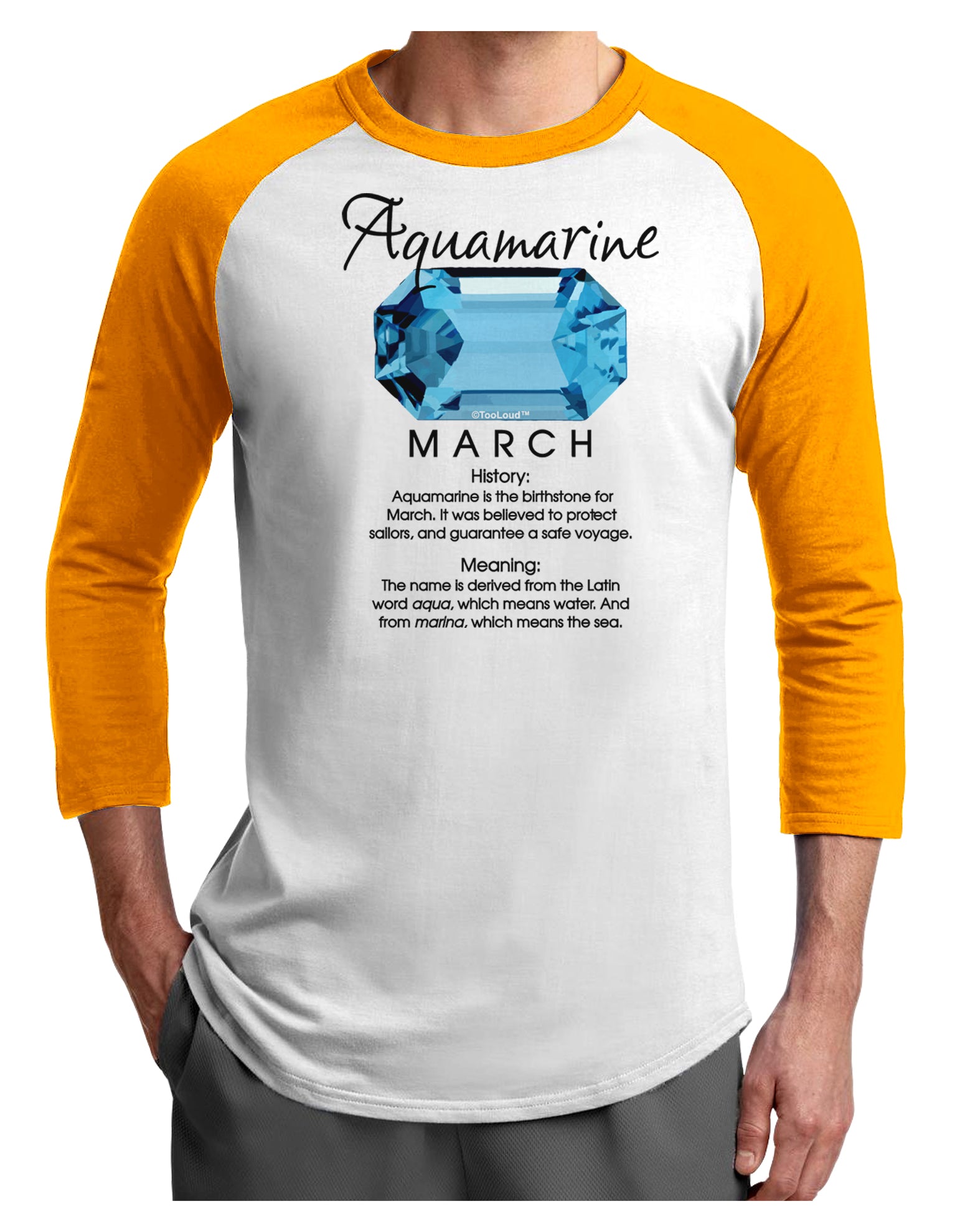 Birthstone Aquamarine Adult Raglan Shirt-Raglan Shirt-TooLoud-White-Gold-X-Small-Davson Sales