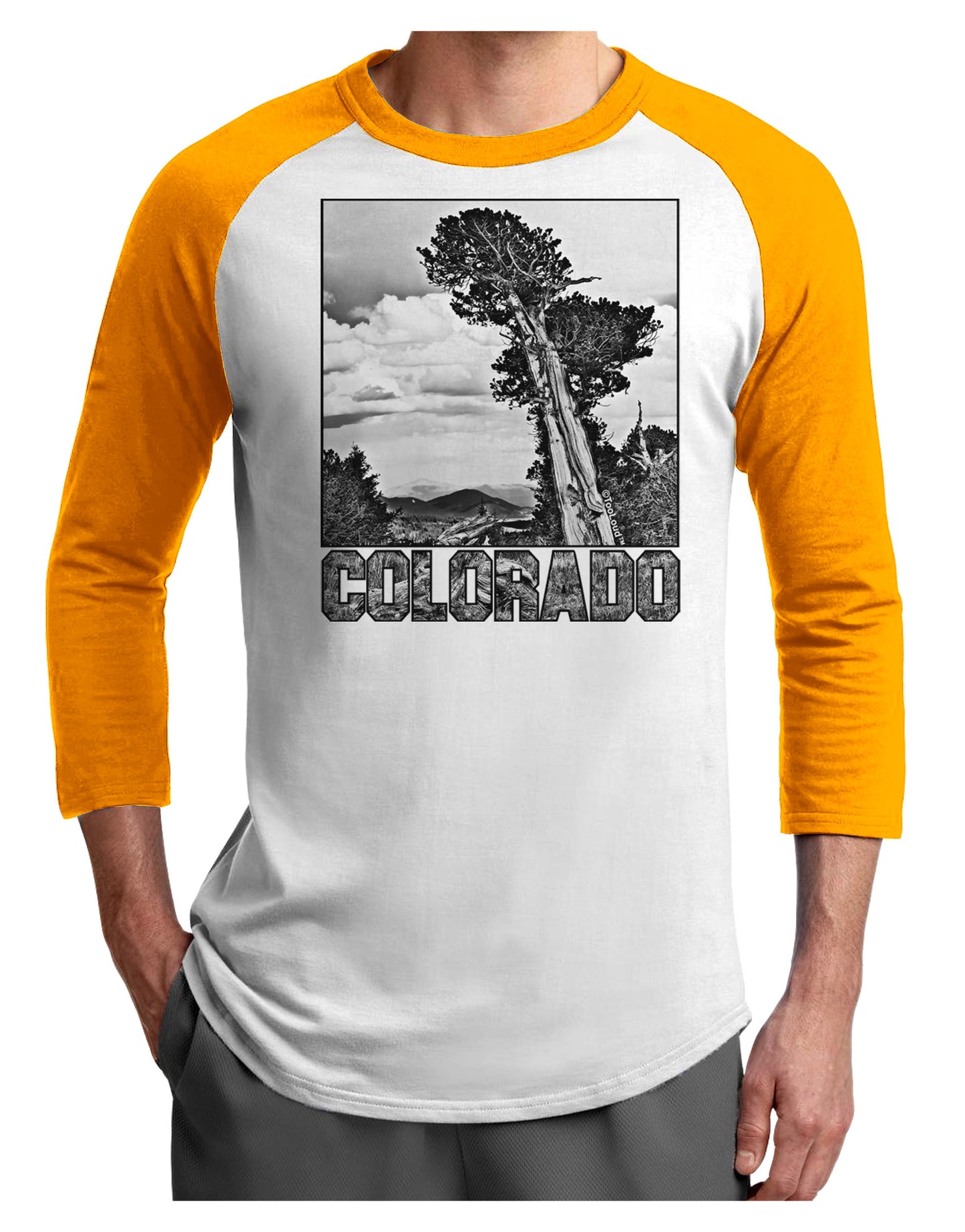 Colorado Landscape Text BW Adult Raglan Shirt-TooLoud-White-Gold-X-Small-Davson Sales