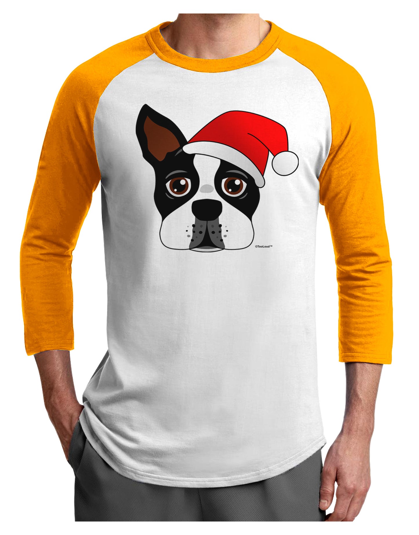 Cute Dog with Santa Hat - Christmas Adult Raglan Shirt-TooLoud-White-Gold-X-Small-Davson Sales