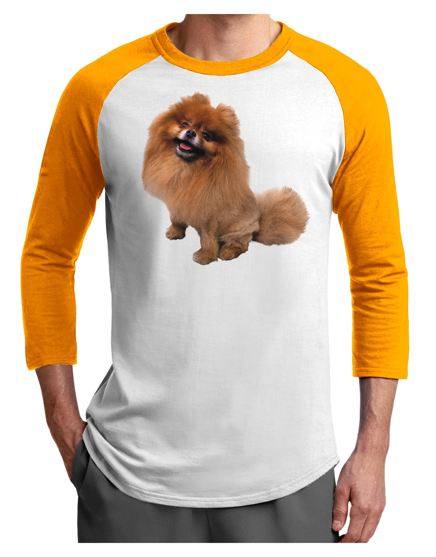 Pomeranian Sitting All Cute-Like Adult Raglan Shirt-Raglan Shirt-TooLoud-White-Gold-X-Small-Davson Sales
