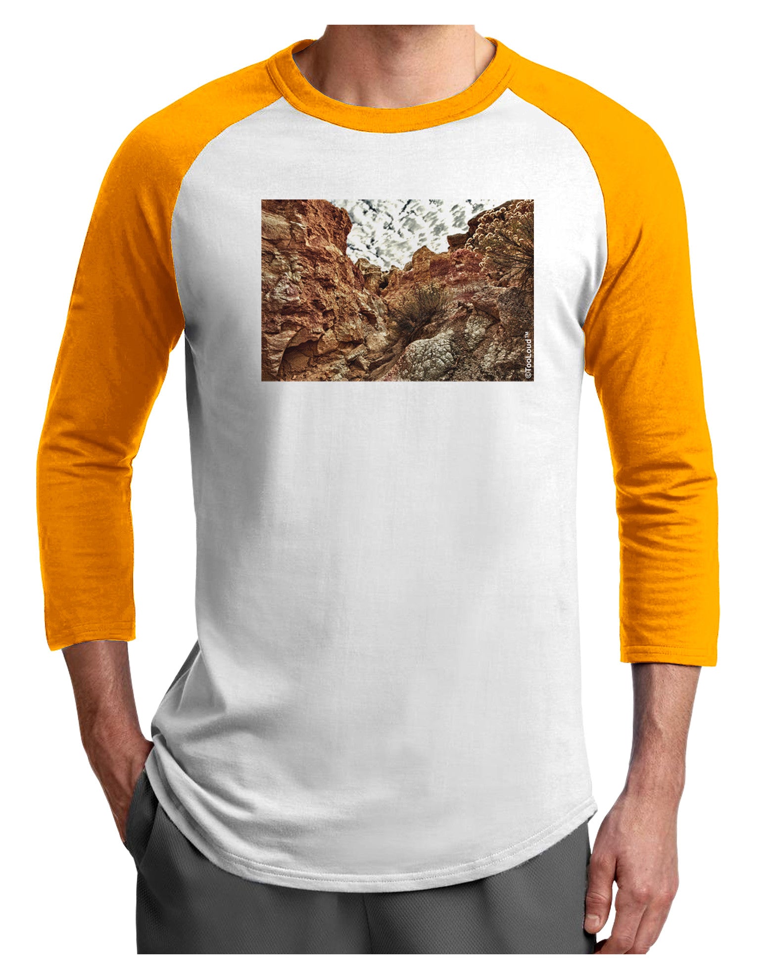 Colorado Painted Rocks Adult Raglan Shirt-Raglan Shirt-TooLoud-White-Gold-X-Small-Davson Sales