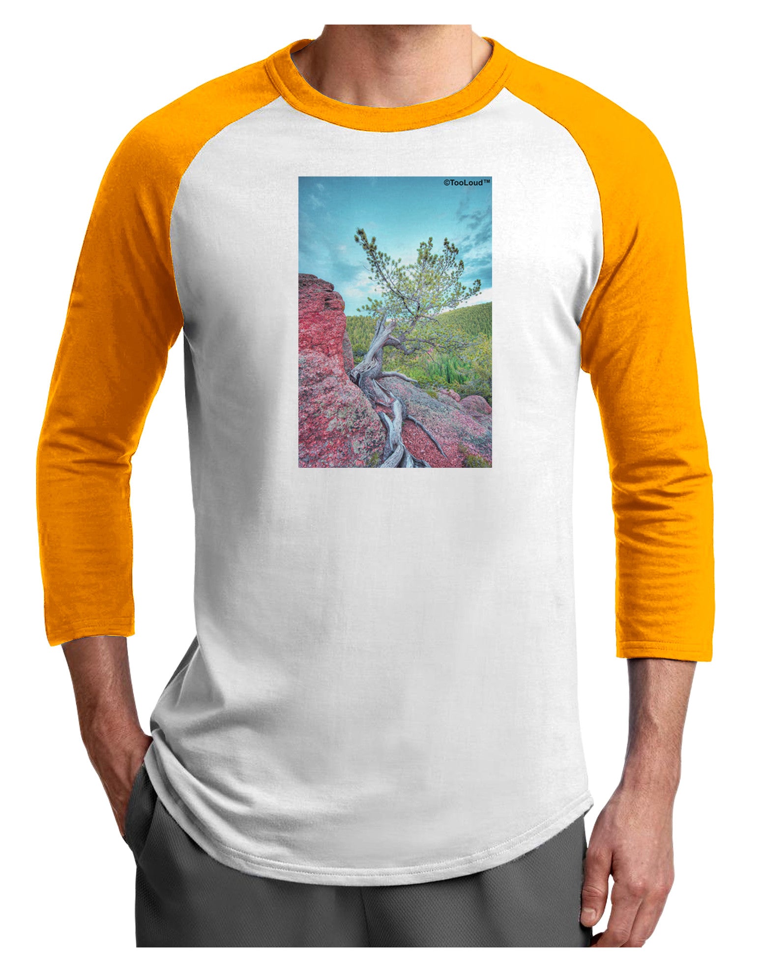 CO Cliffside Tree Adult Raglan Shirt-Raglan Shirt-TooLoud-White-Gold-X-Small-Davson Sales