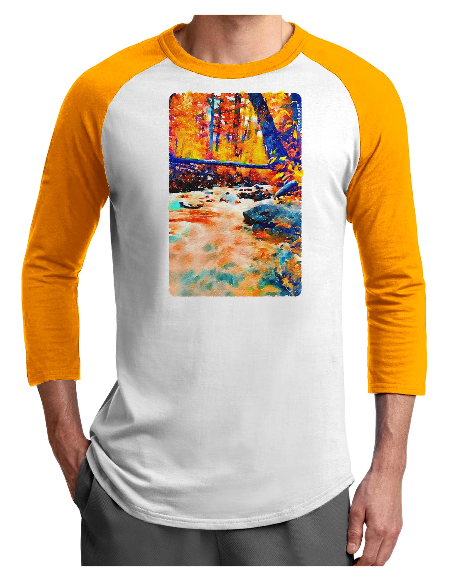 Mt Shavano Colorado Watercolor Adult Raglan Shirt-TooLoud-White-Gold-X-Small-Davson Sales