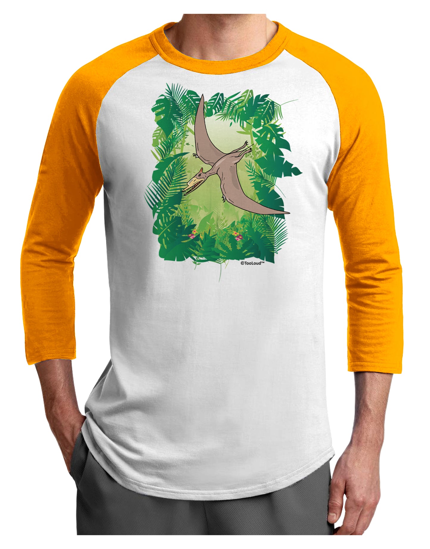 Pterosaurs - Without Name Adult Raglan Shirt by TooLoud-TooLoud-White-Gold-X-Small-Davson Sales