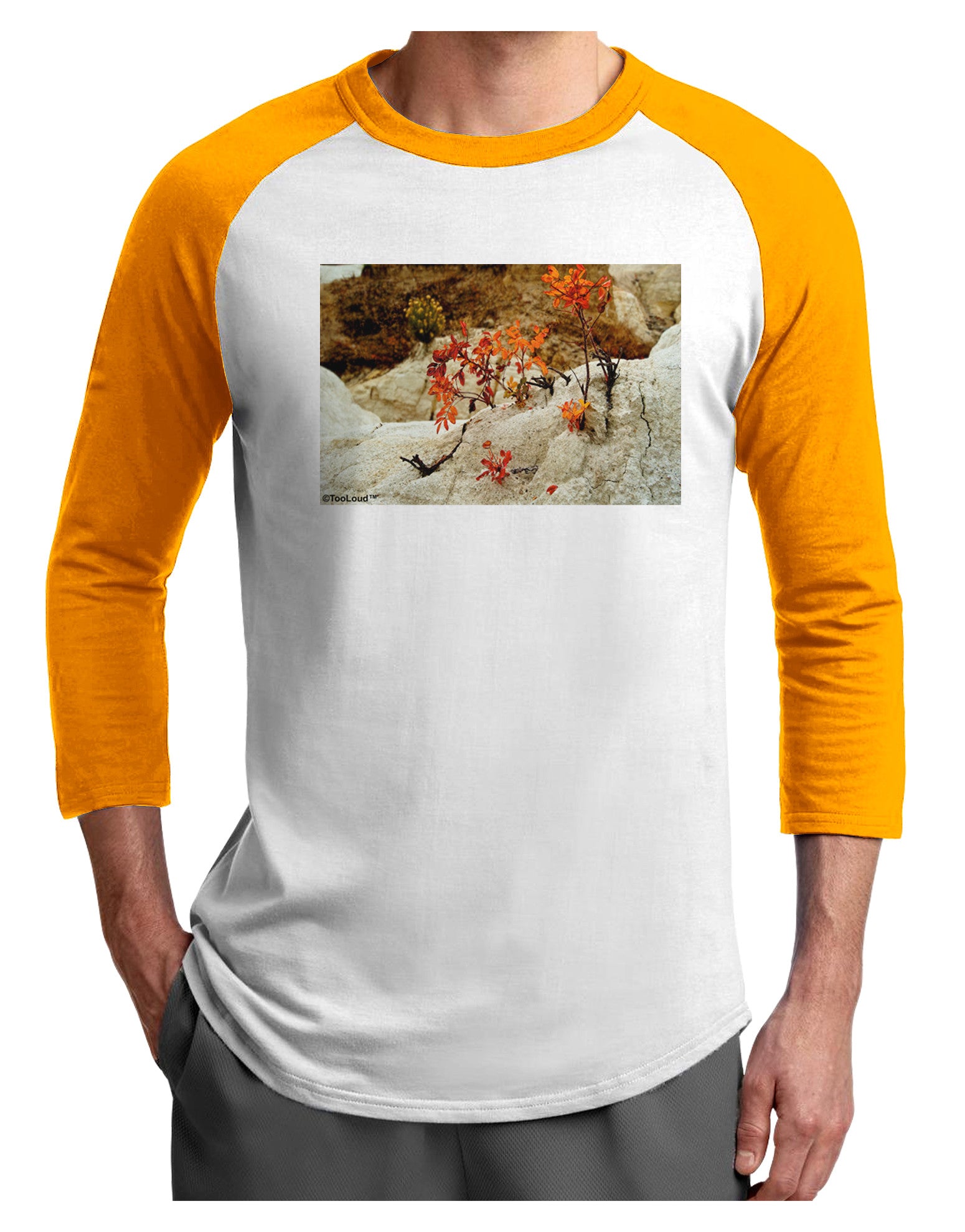 CO Painted Mines Adult Raglan Shirt-Raglan Shirt-TooLoud-White-Gold-X-Small-Davson Sales
