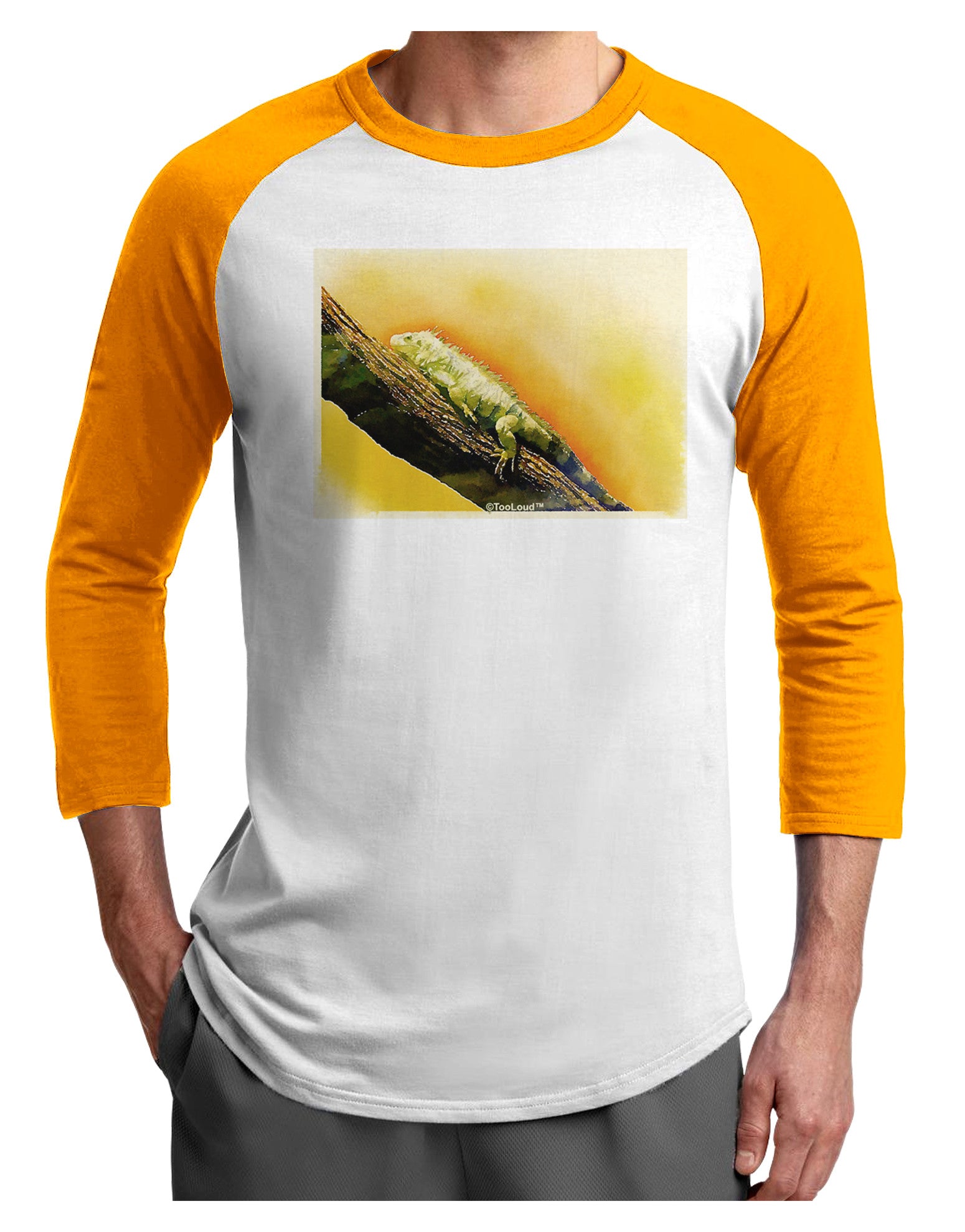 Iguana Watercolor Adult Raglan Shirt-TooLoud-White-Gold-X-Small-Davson Sales