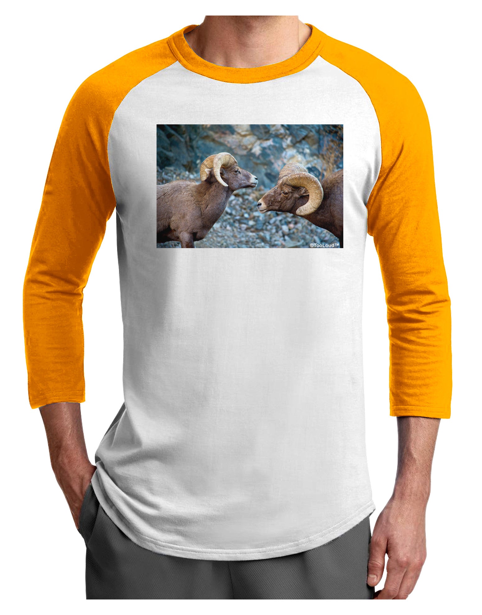 Two Bighorn Rams Adult Raglan Shirt-TooLoud-White-Gold-X-Small-Davson Sales