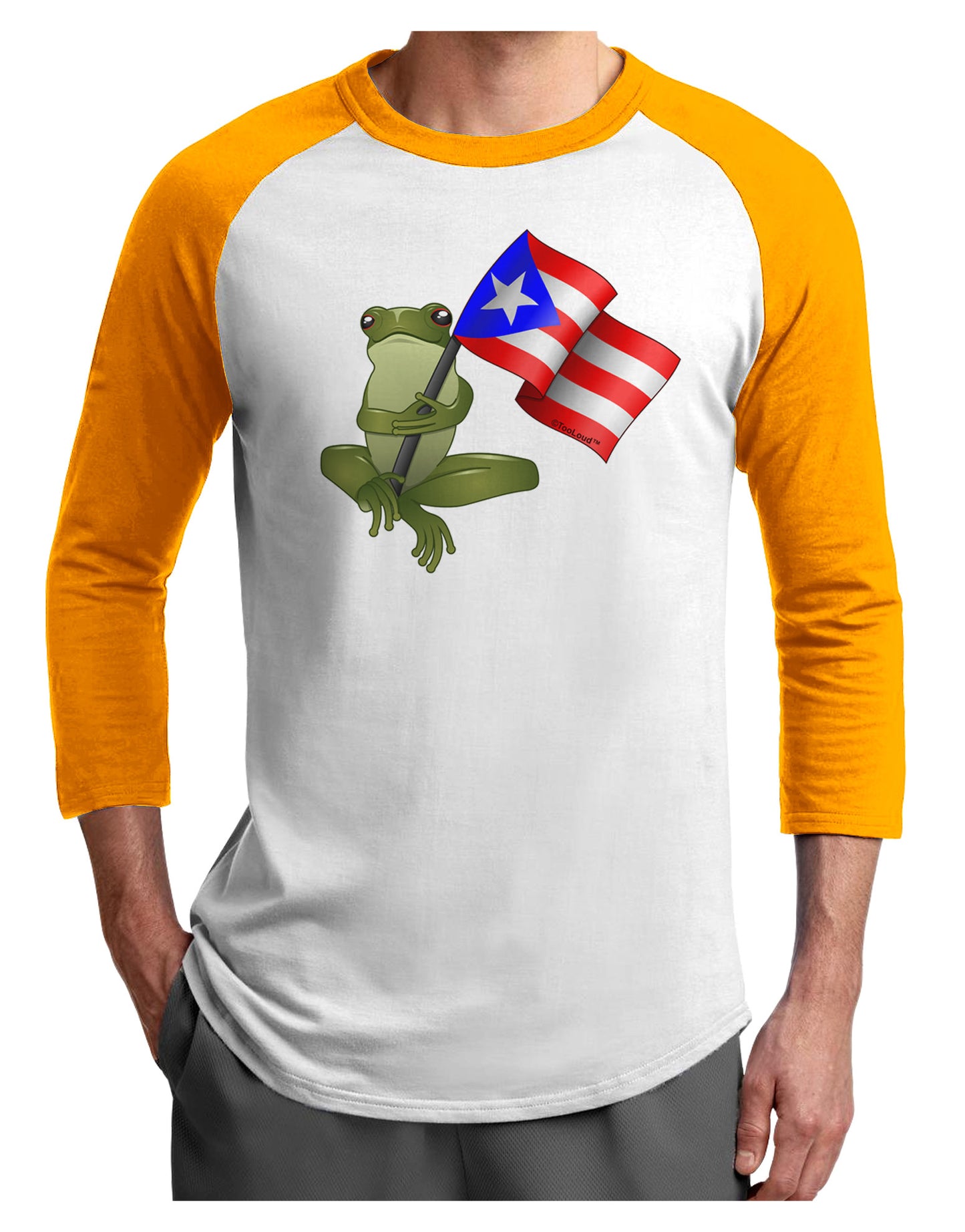 Coqui Holding Flag Adult Raglan Shirt-Raglan Shirt-TooLoud-White-Gold-X-Small-Davson Sales