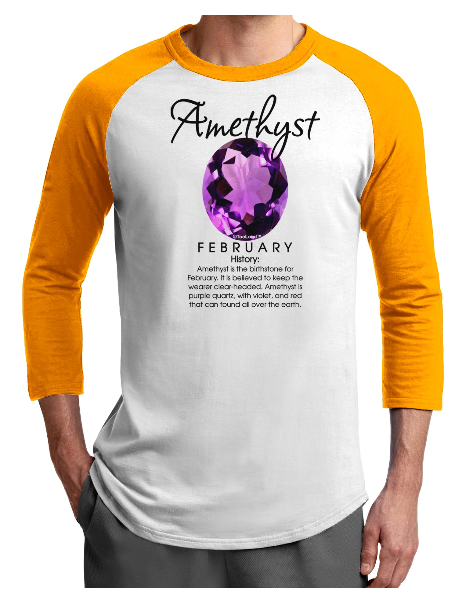 Birthstone Amethyst Adult Raglan Shirt-Raglan Shirt-TooLoud-White-Gold-X-Small-Davson Sales
