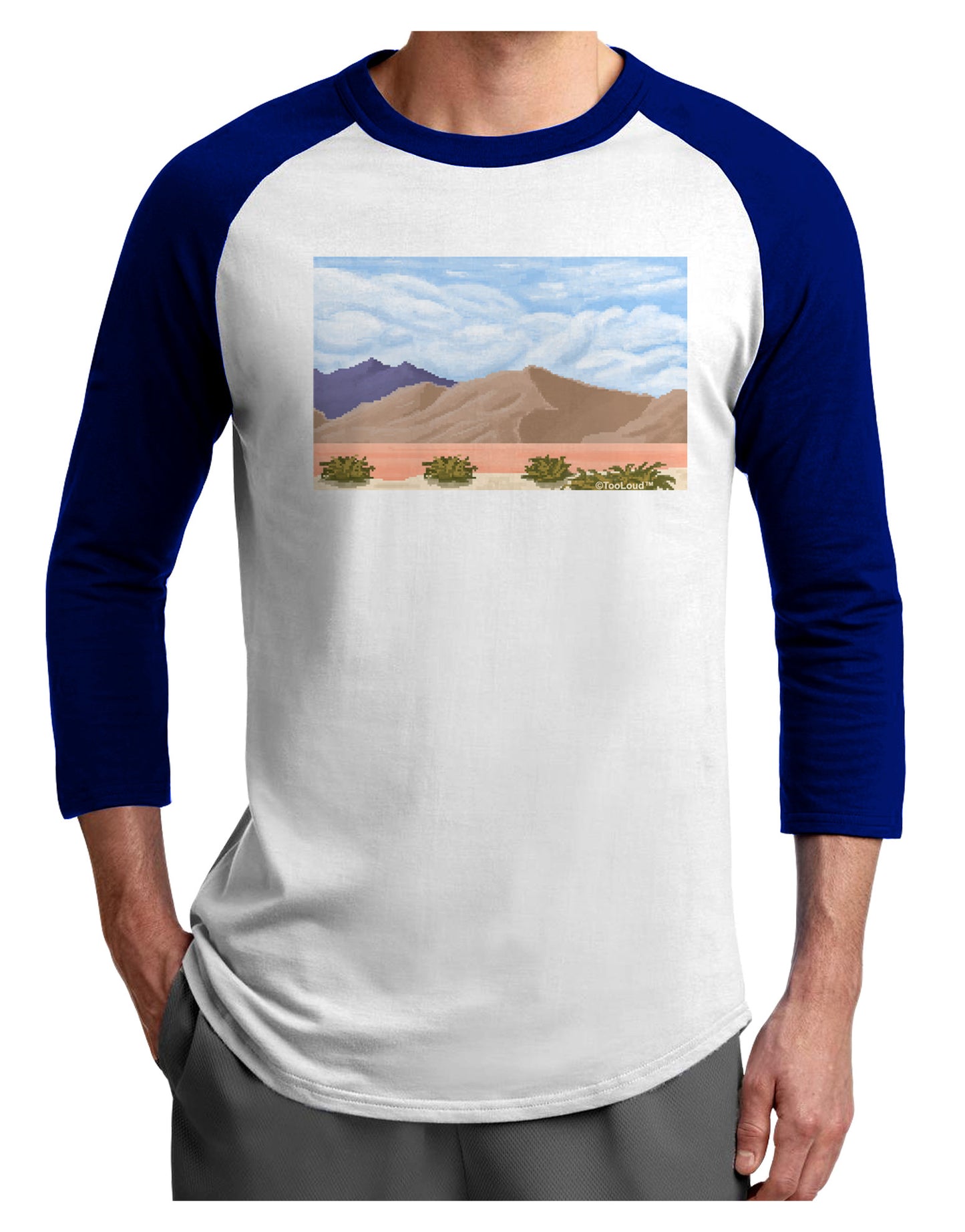 Pixel Landscape - Desert Adult Raglan Shirt-TooLoud-White-Royal-X-Small-Davson Sales
