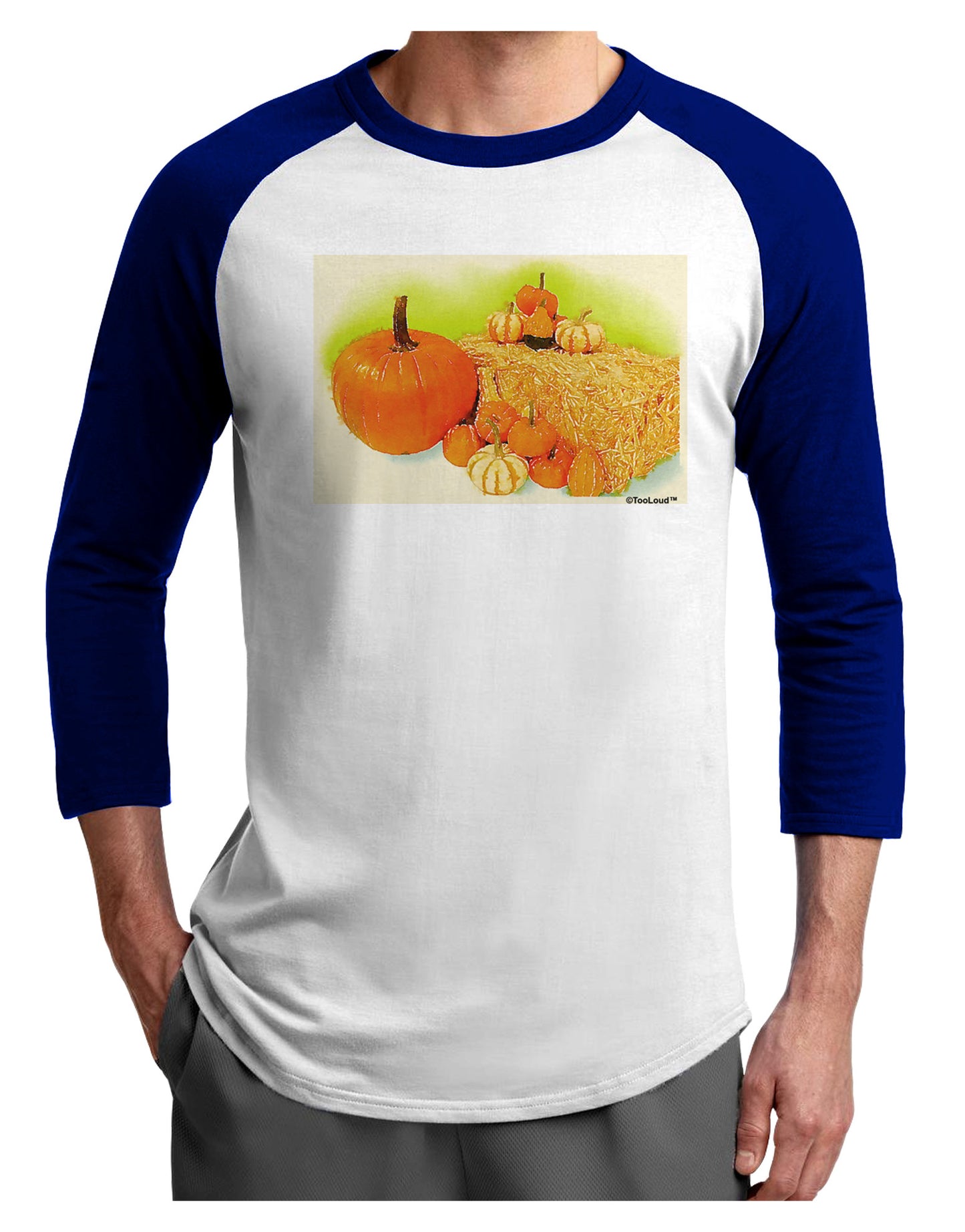 Fall Pumpkin Scene Adult Raglan Shirt-TooLoud-White-Royal-X-Small-Davson Sales