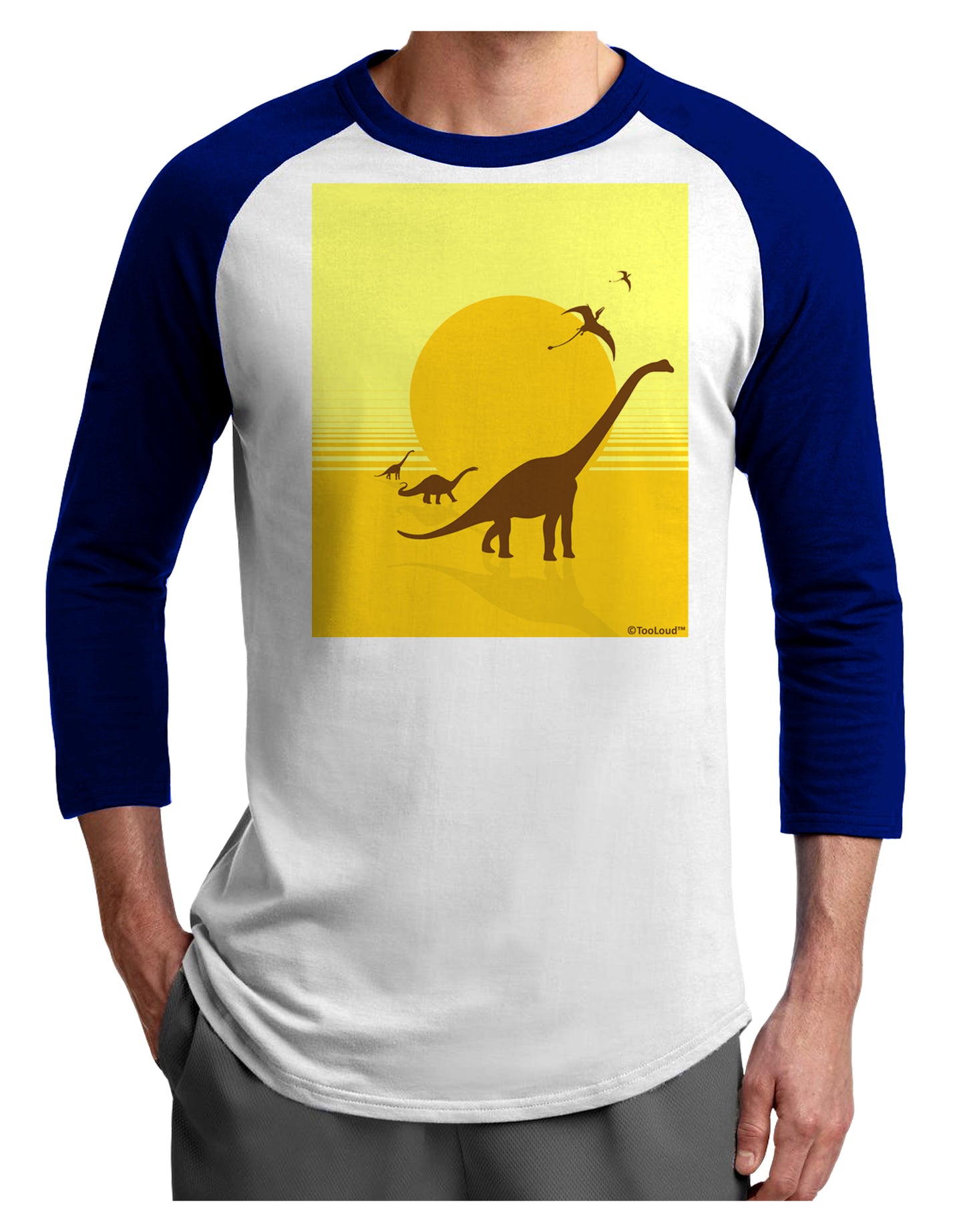 Brontosaurus and Pterodactyl Silhouettes with Sun Adult Raglan Shirt by TooLoud-TooLoud-White-Royal-X-Small-Davson Sales