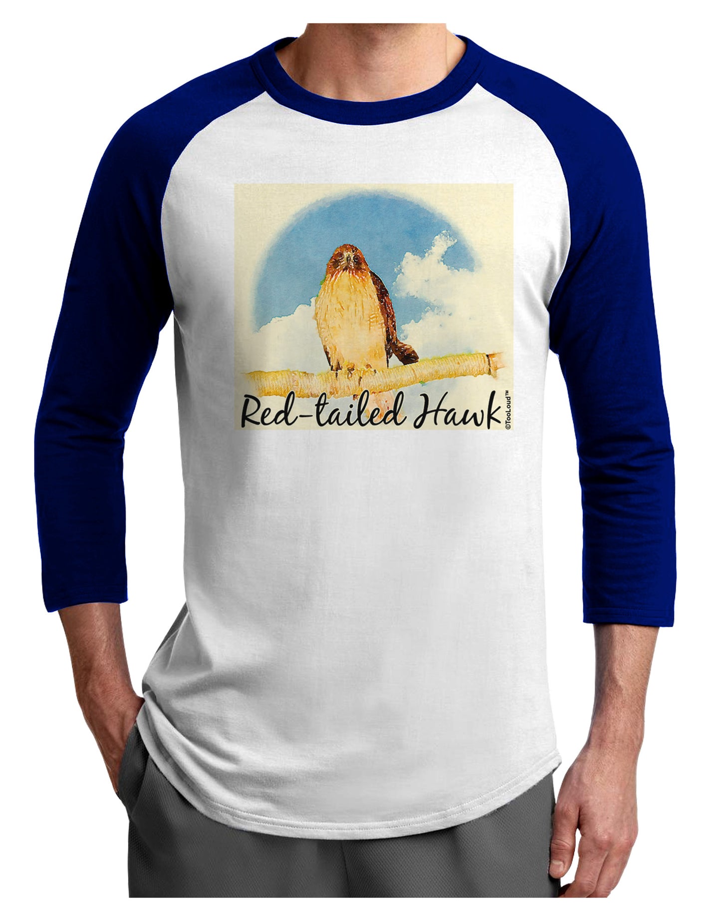 Red-tailed Hawk Text Adult Raglan Shirt-TooLoud-White-Royal-X-Small-Davson Sales