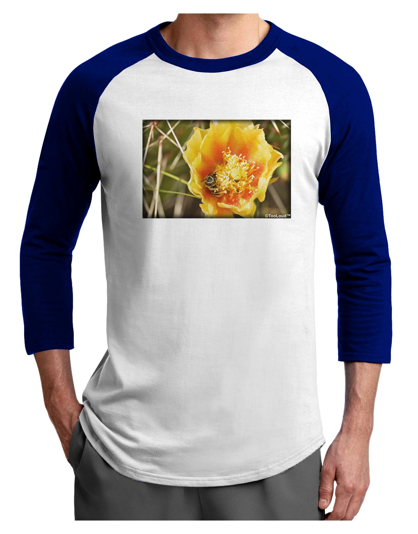 Bee Cactus Adult Raglan Shirt-Raglan Shirt-TooLoud-White-Royal-X-Small-Davson Sales