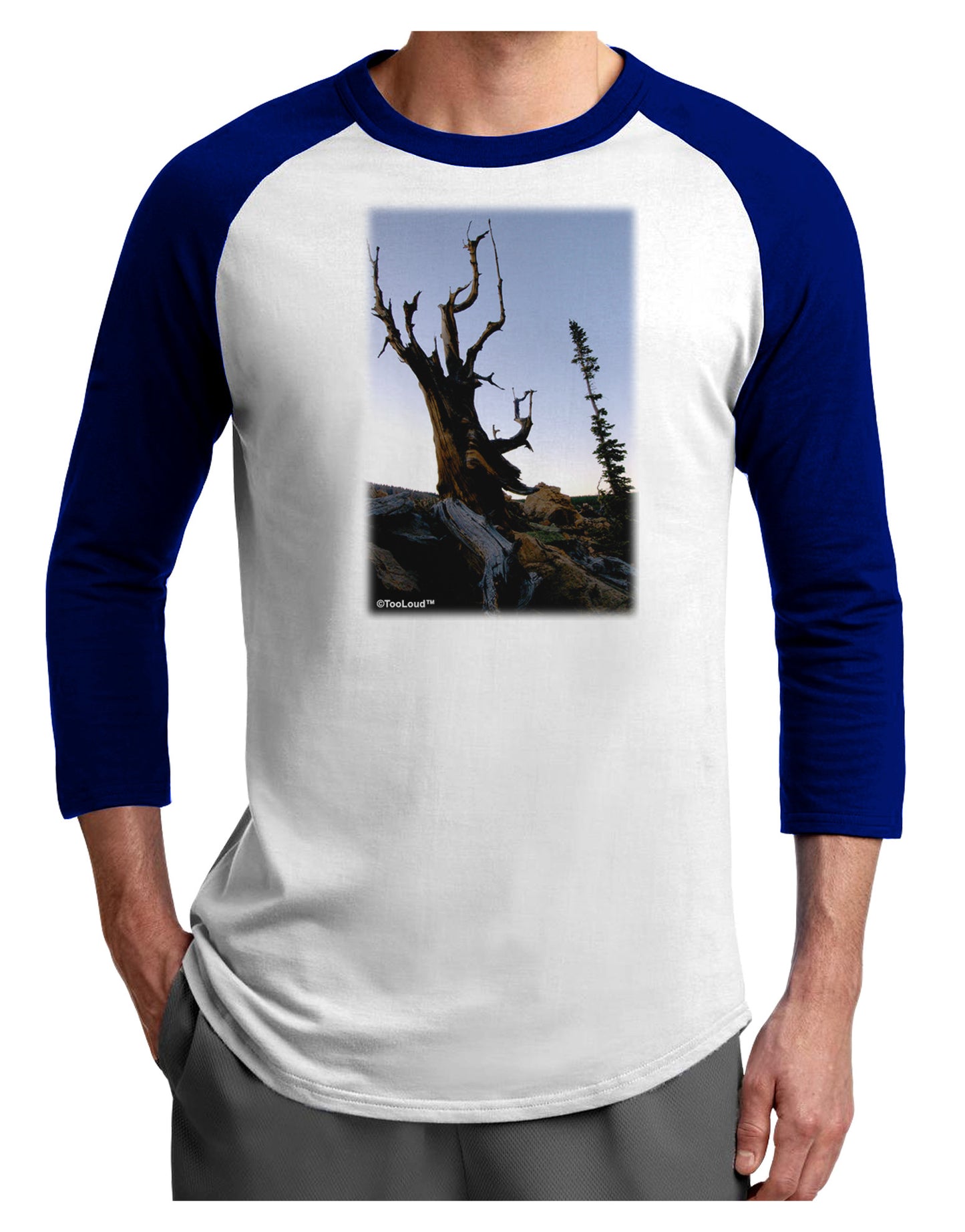 Colorado Mountain Scenery Adult Raglan Shirt-TooLoud-White-Royal-X-Small-Davson Sales