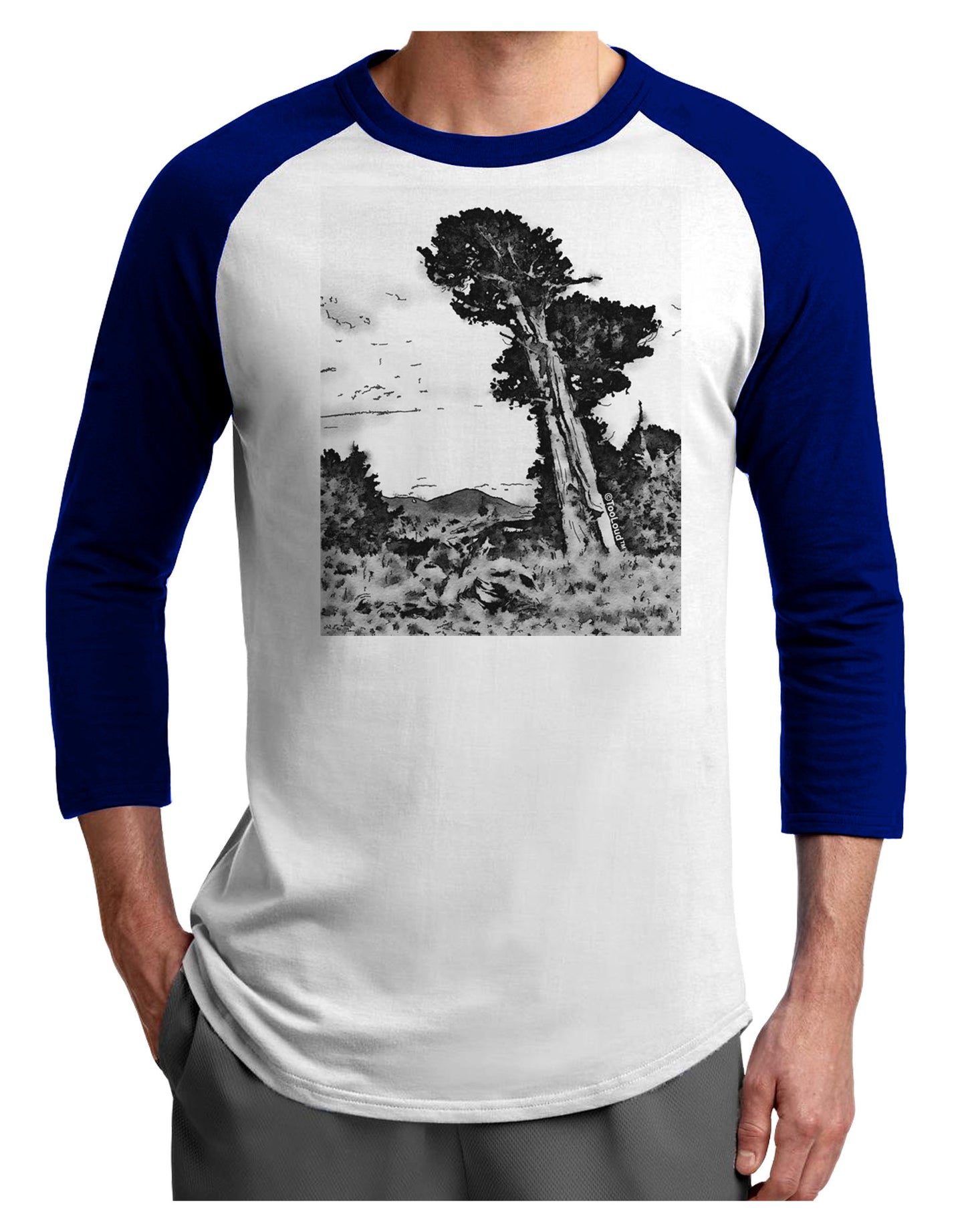 Colorado Landscape Watercolor BW Adult Raglan Shirt-TooLoud-White-Royal-X-Small-Davson Sales
